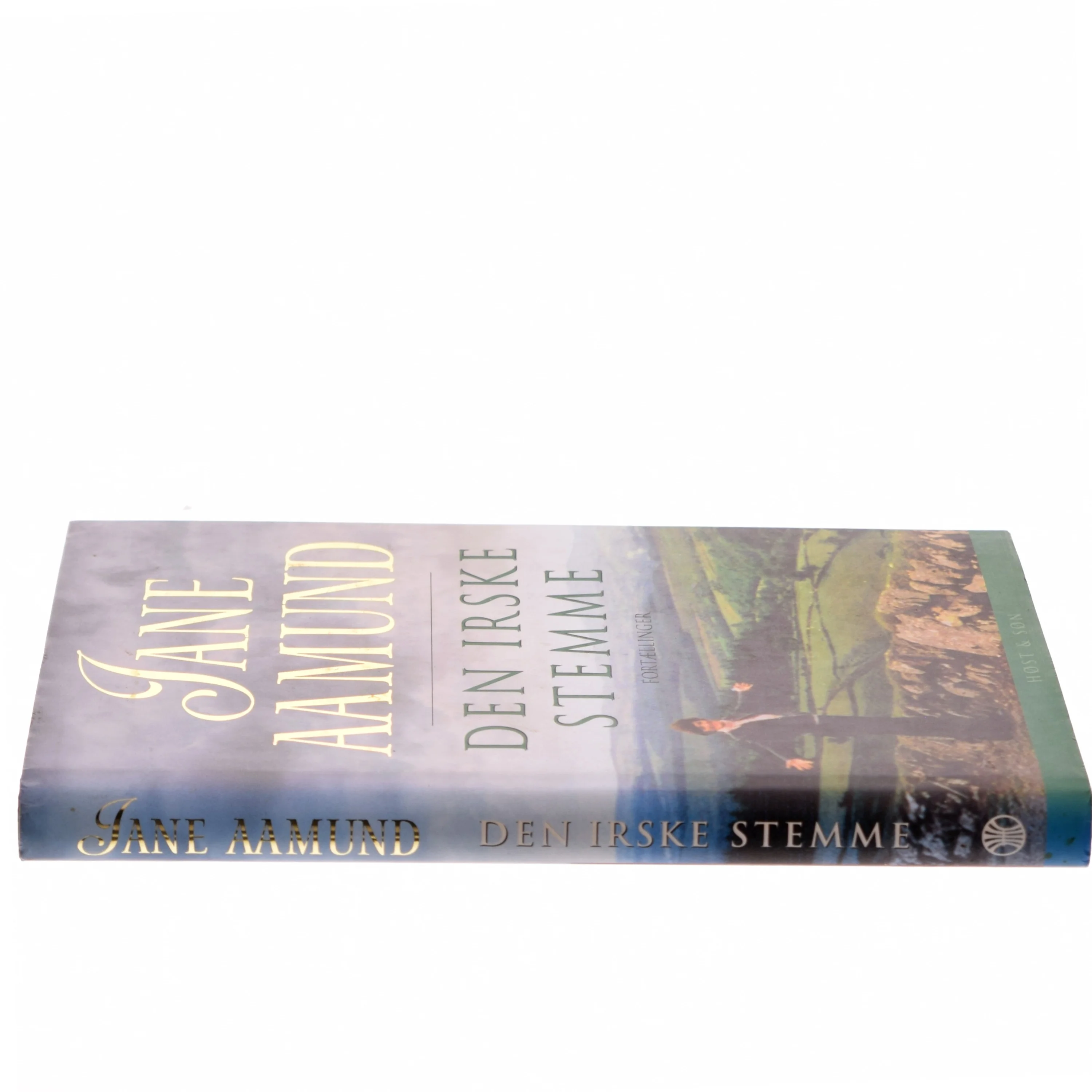 Den irske stemme : fortællinger af Jane Aamund (Bog)