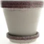 Urte potte med underskål (str. 15 x 8 cm)