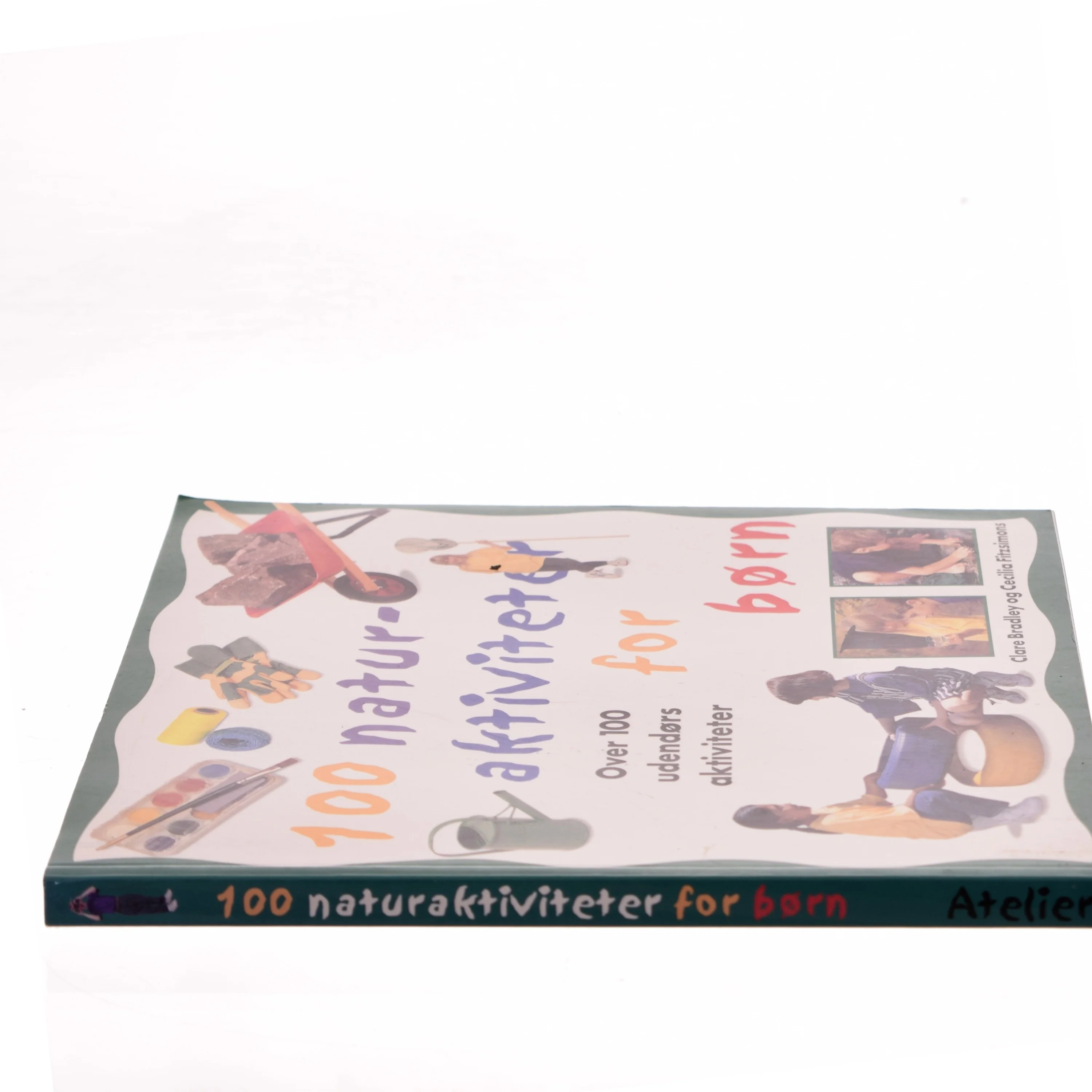 100 naturaktiviteter for børn : over 100 sjove, praktiske udendørs projekter (Bog)