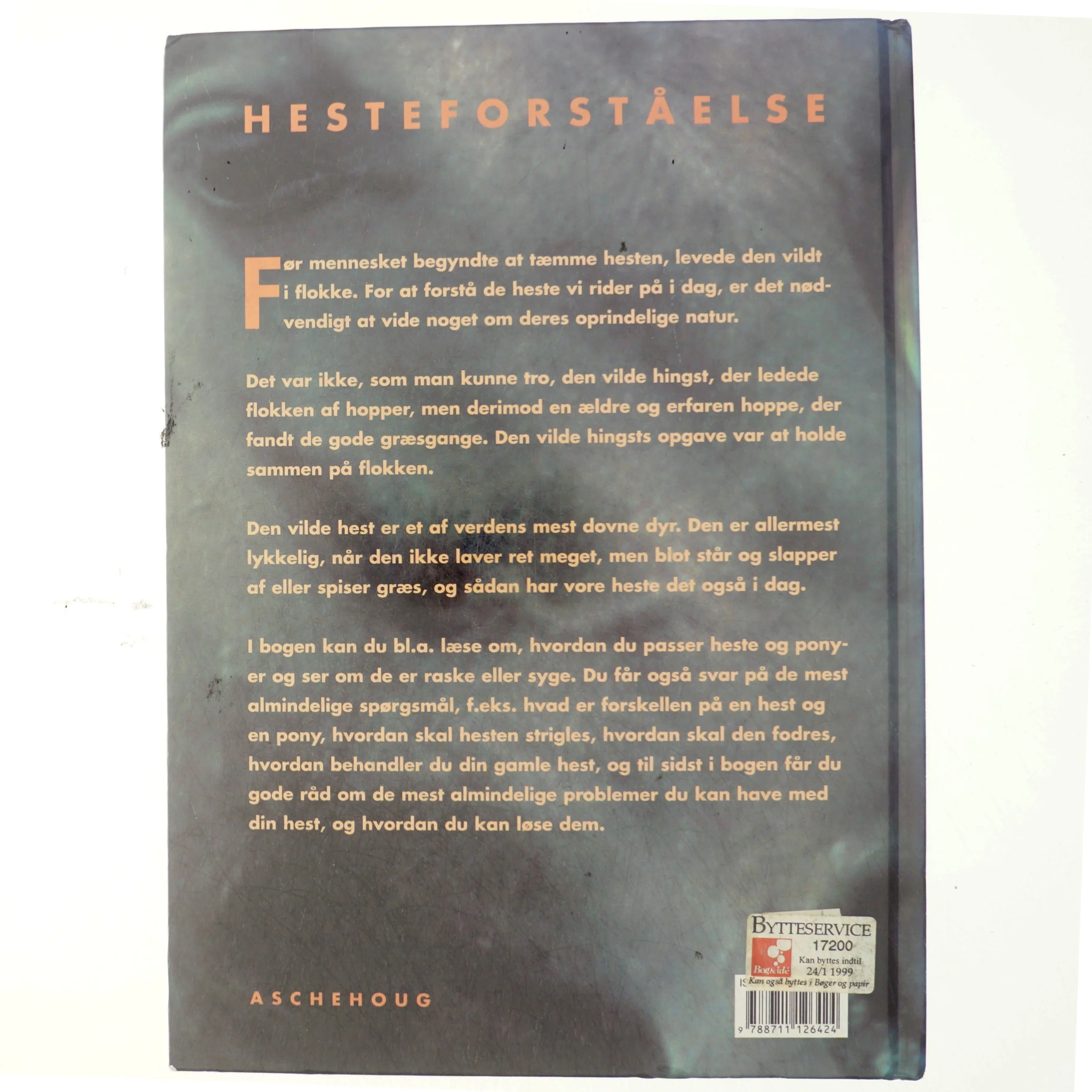 Hesteforståelse (Bog)