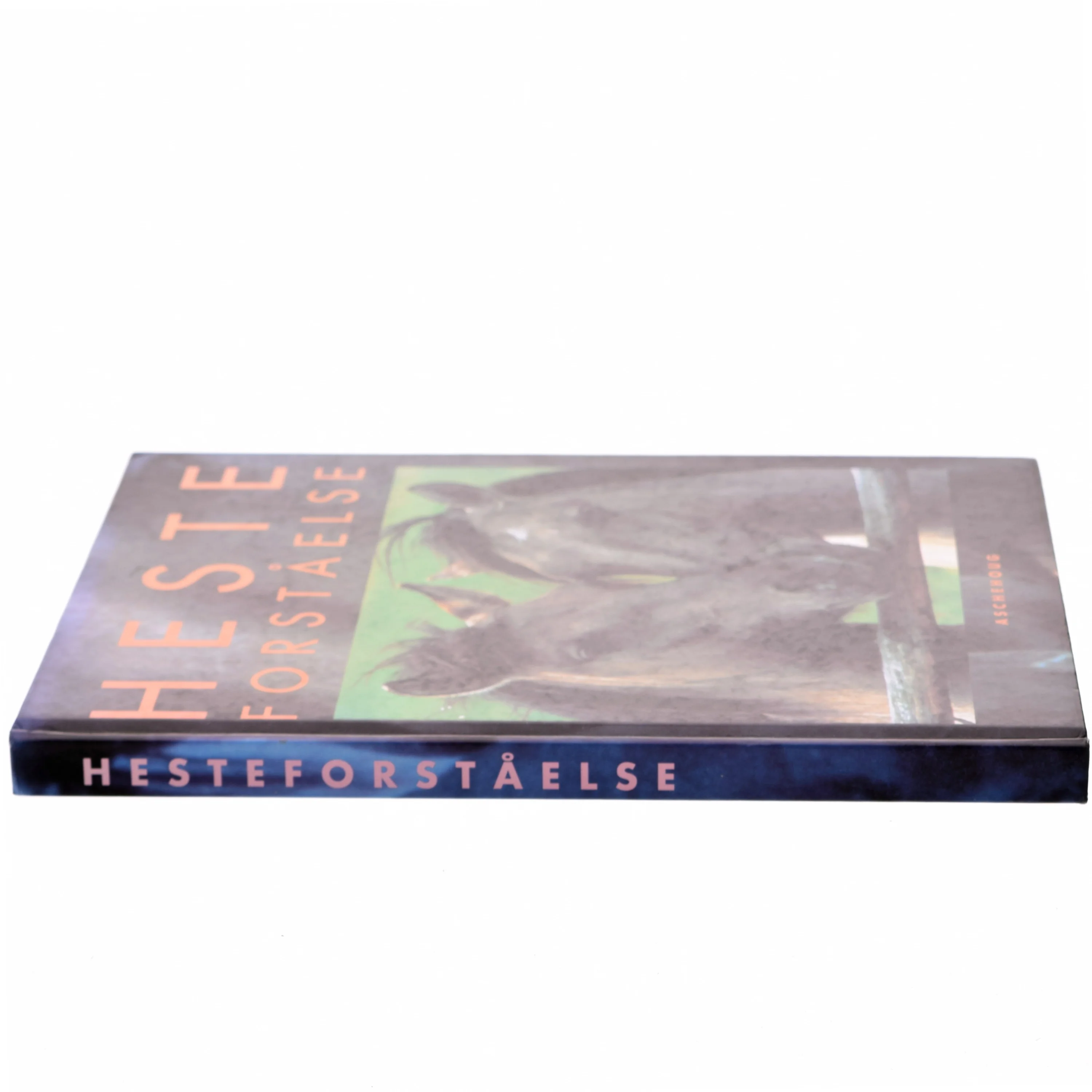 Hesteforståelse (Bog)