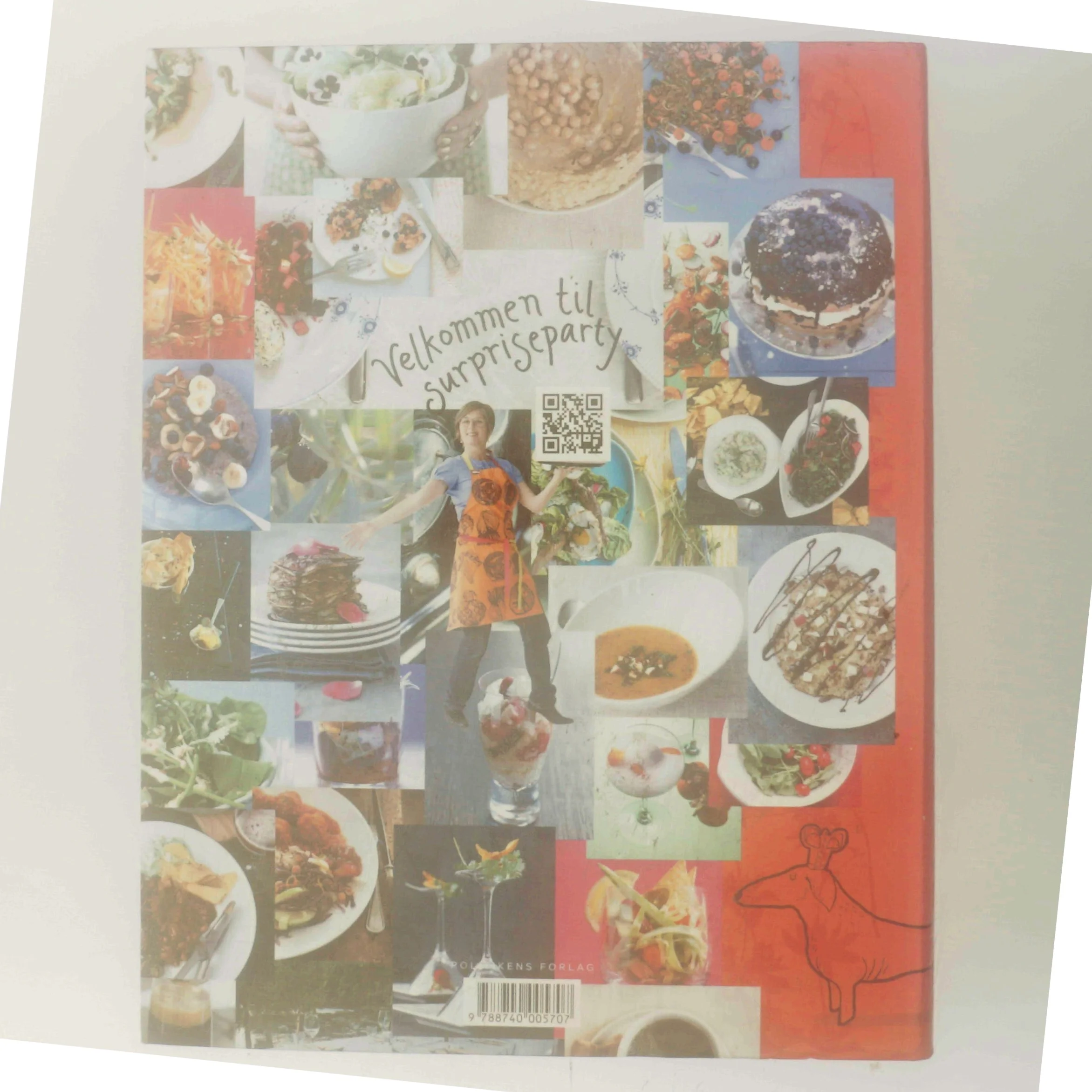 Suveræn Surprise af Tina Scheftelowitz (Bog)