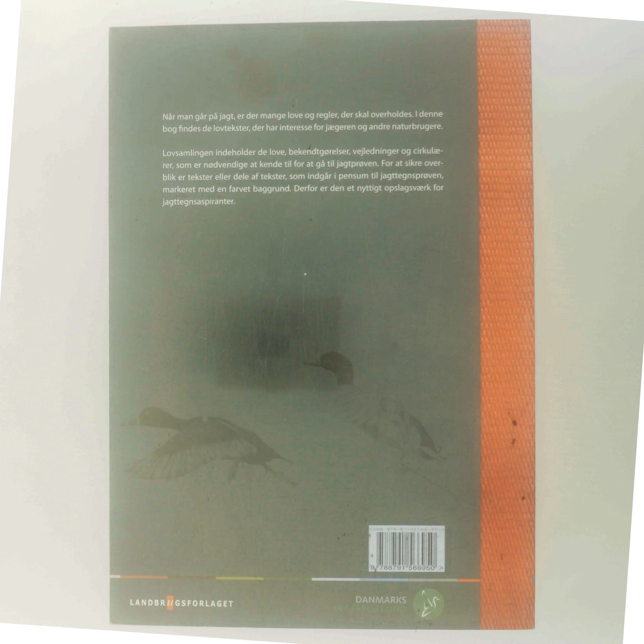 Lovsamling til jagttegn 2013-2014 (Bog)