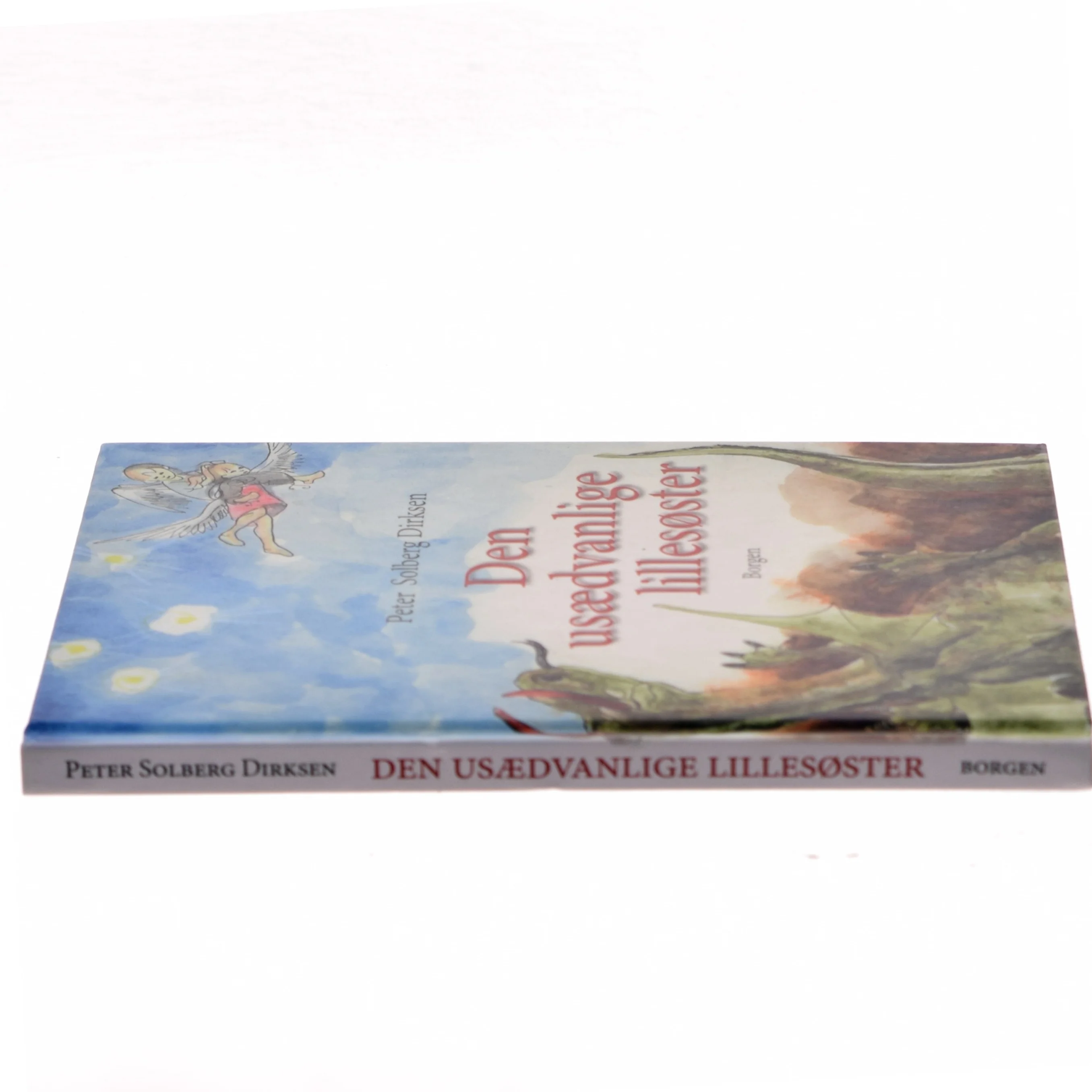 Den usædvanlige lillesøster : en børnebog for børn og voksne af Peter Solberg Dirksen (Bog)