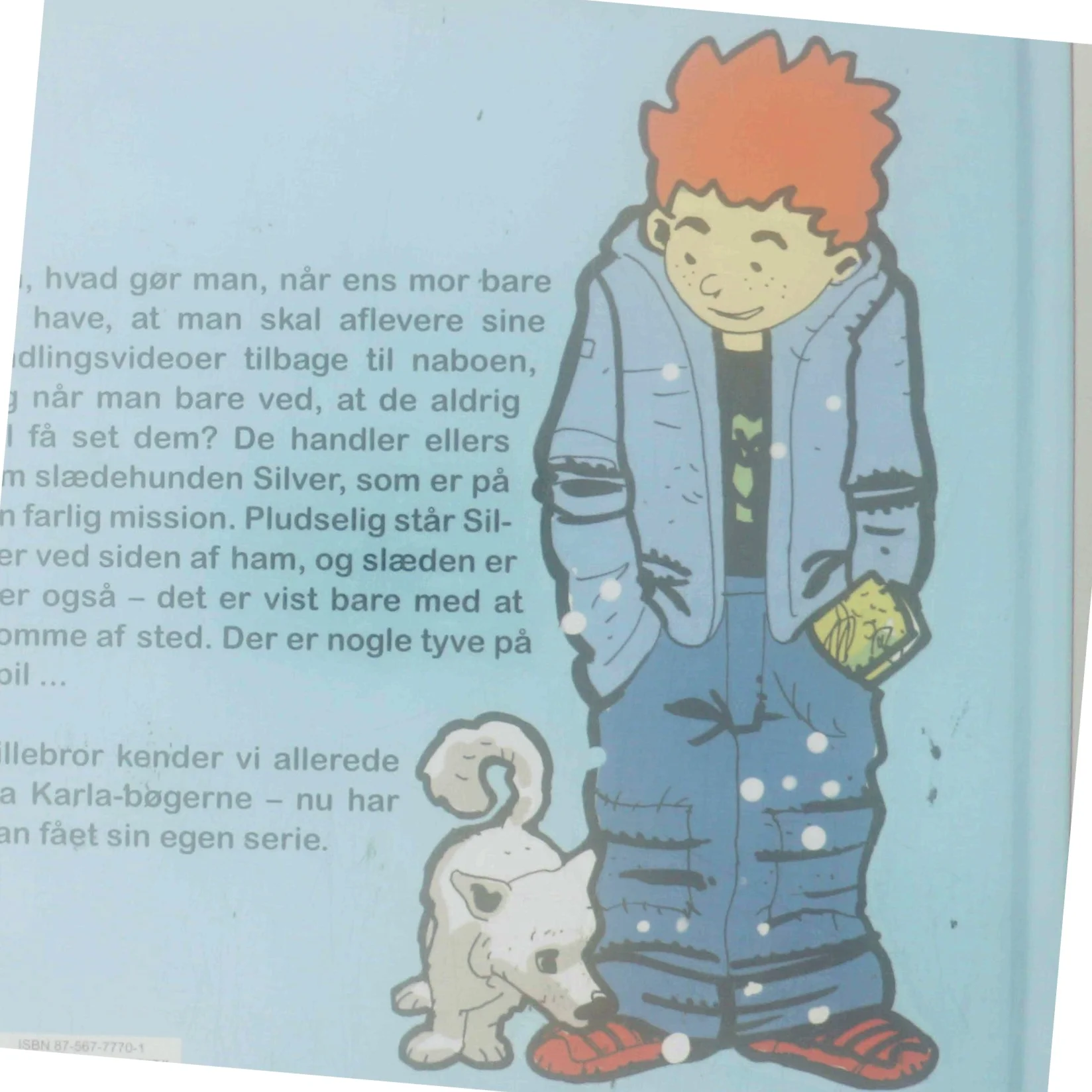 Lillebror og Silver af Renée Toft Simonsen (Bog)