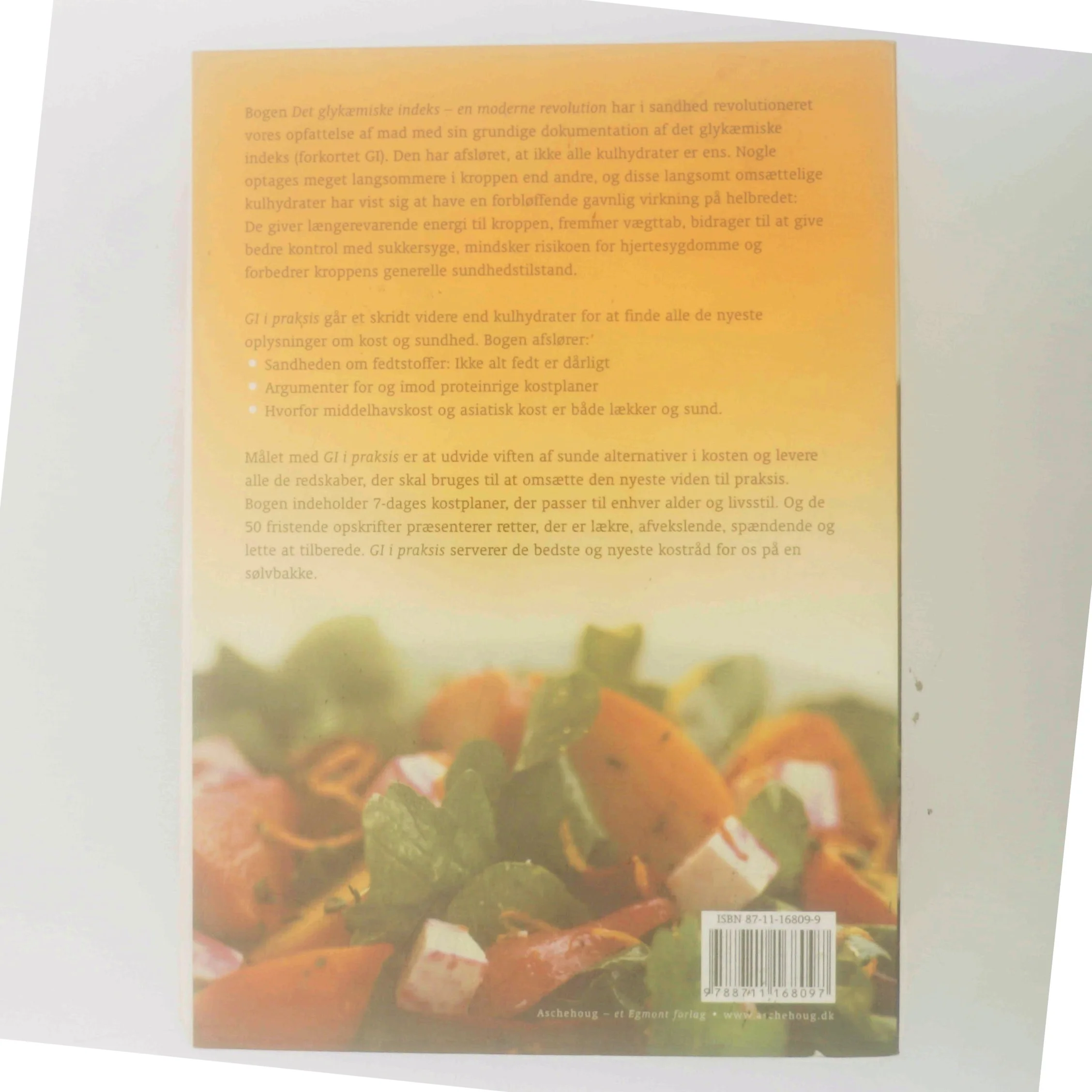 Det glykæmiske indeks - GI i praksis (Bog)