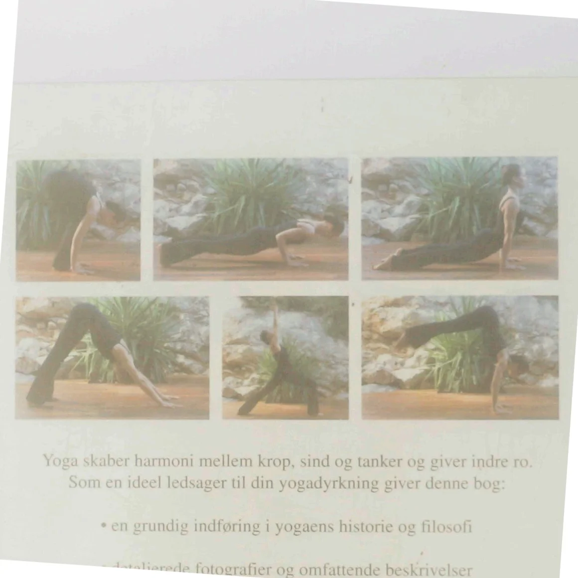 YOGA - Teori og praksis for begyndere og øvede af Inge Schjott (Bog)