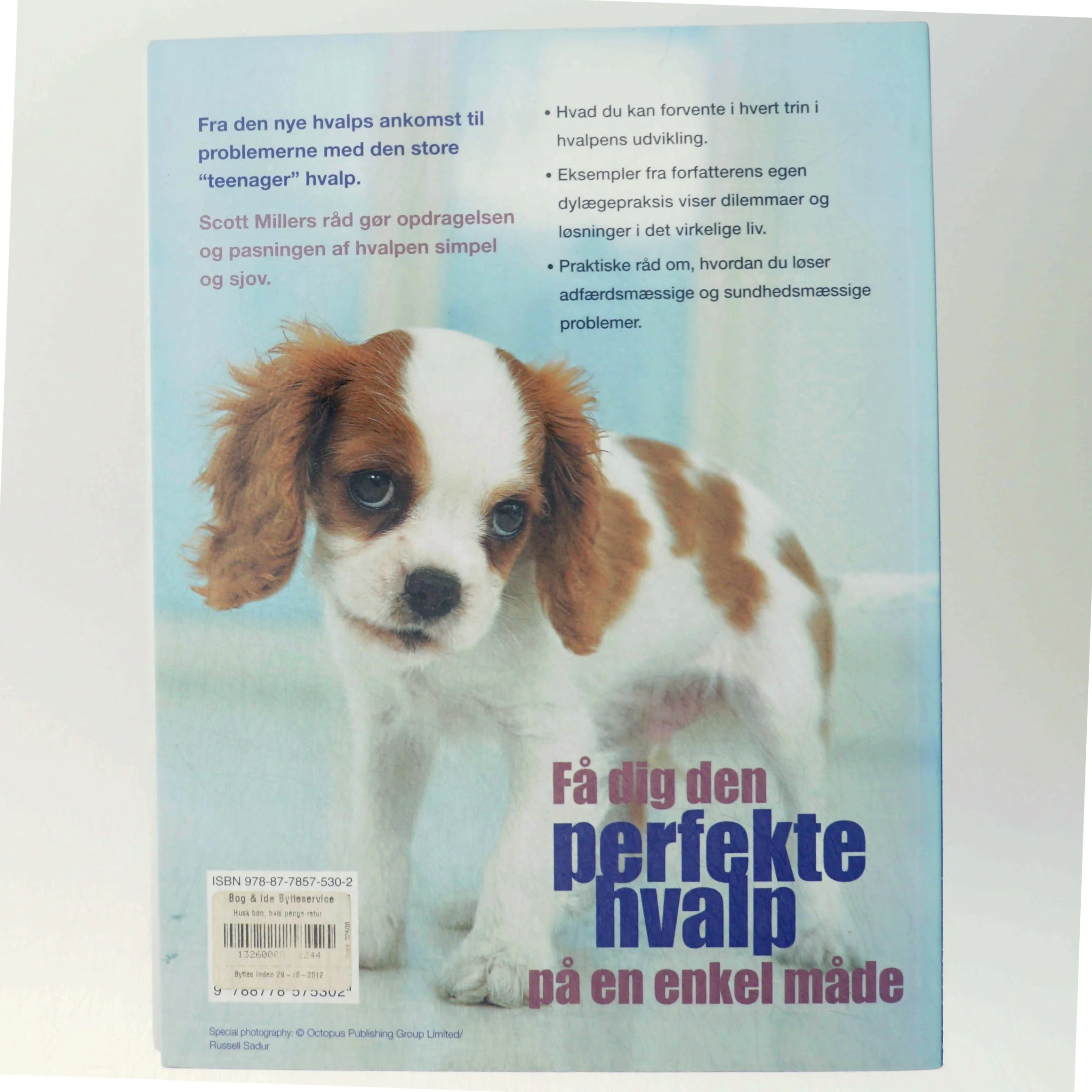 Hvalpebogen af Scott Miller fra Atelier