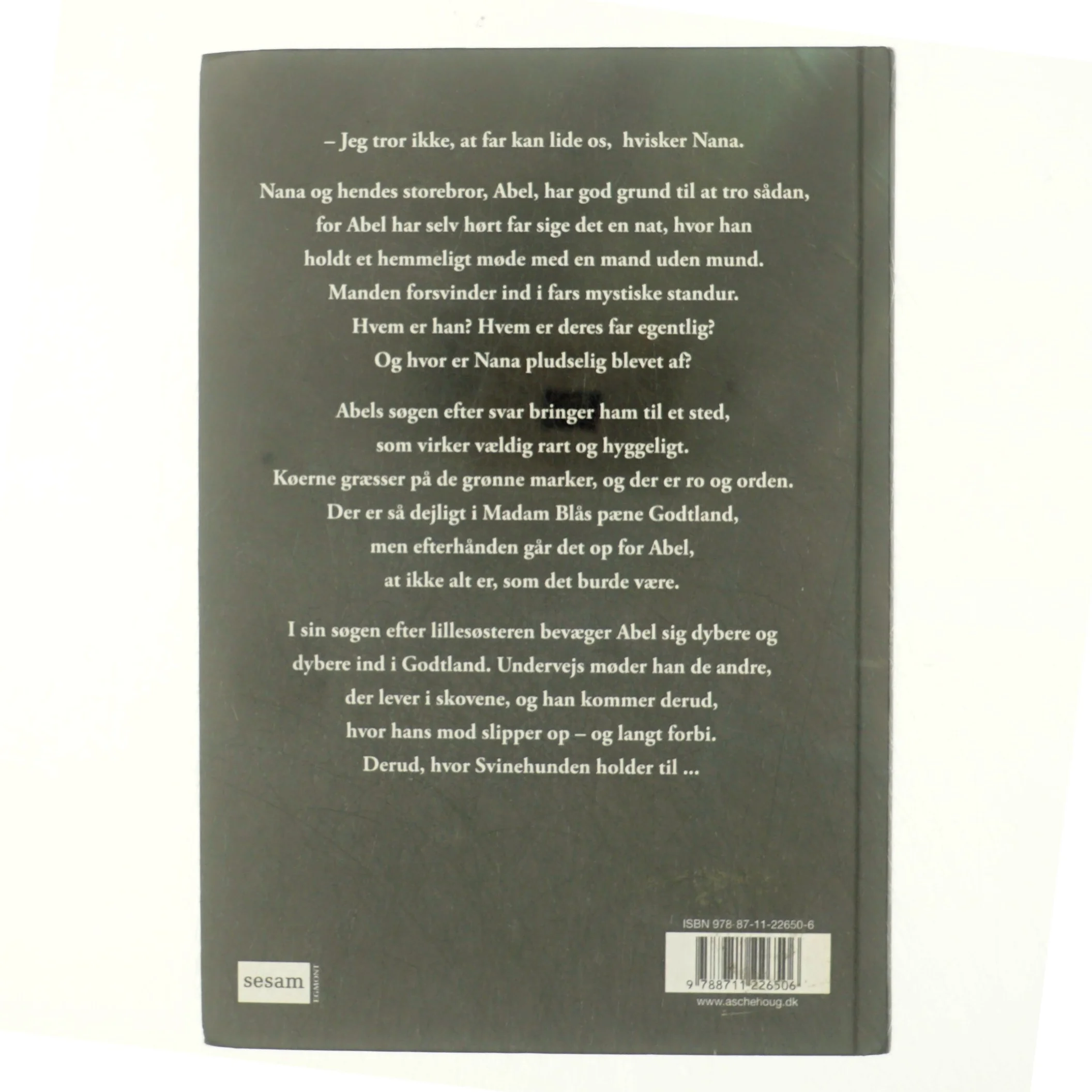 Madam Blå og Svinehunden af Sally Altschuler (Bog)