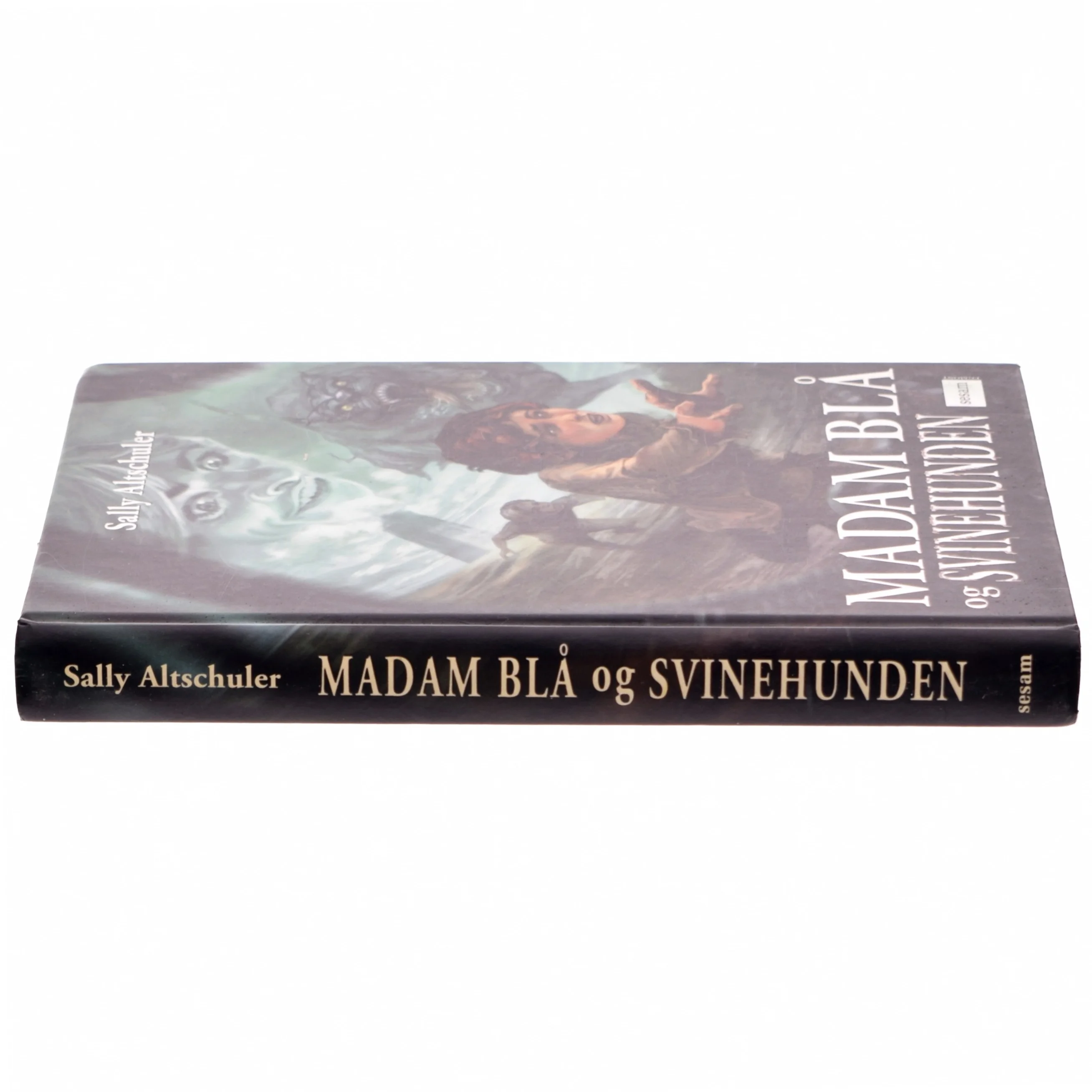 Madam Blå og Svinehunden af Sally Altschuler (Bog)