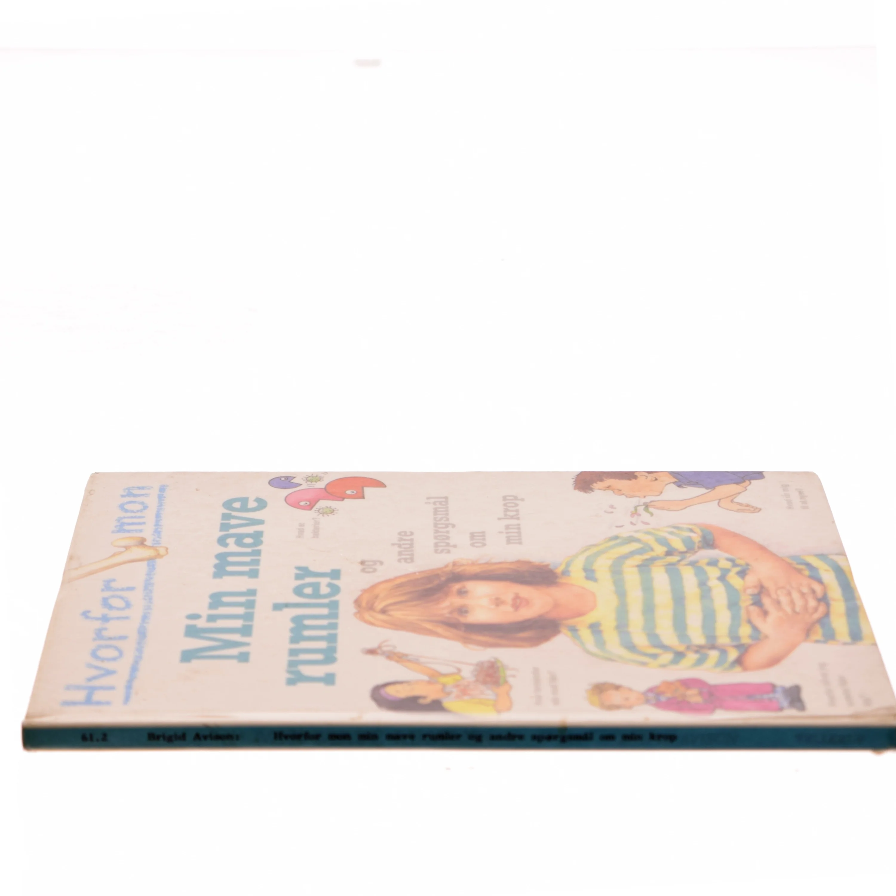 Min mave rumler af Brigid Avison (Bog)