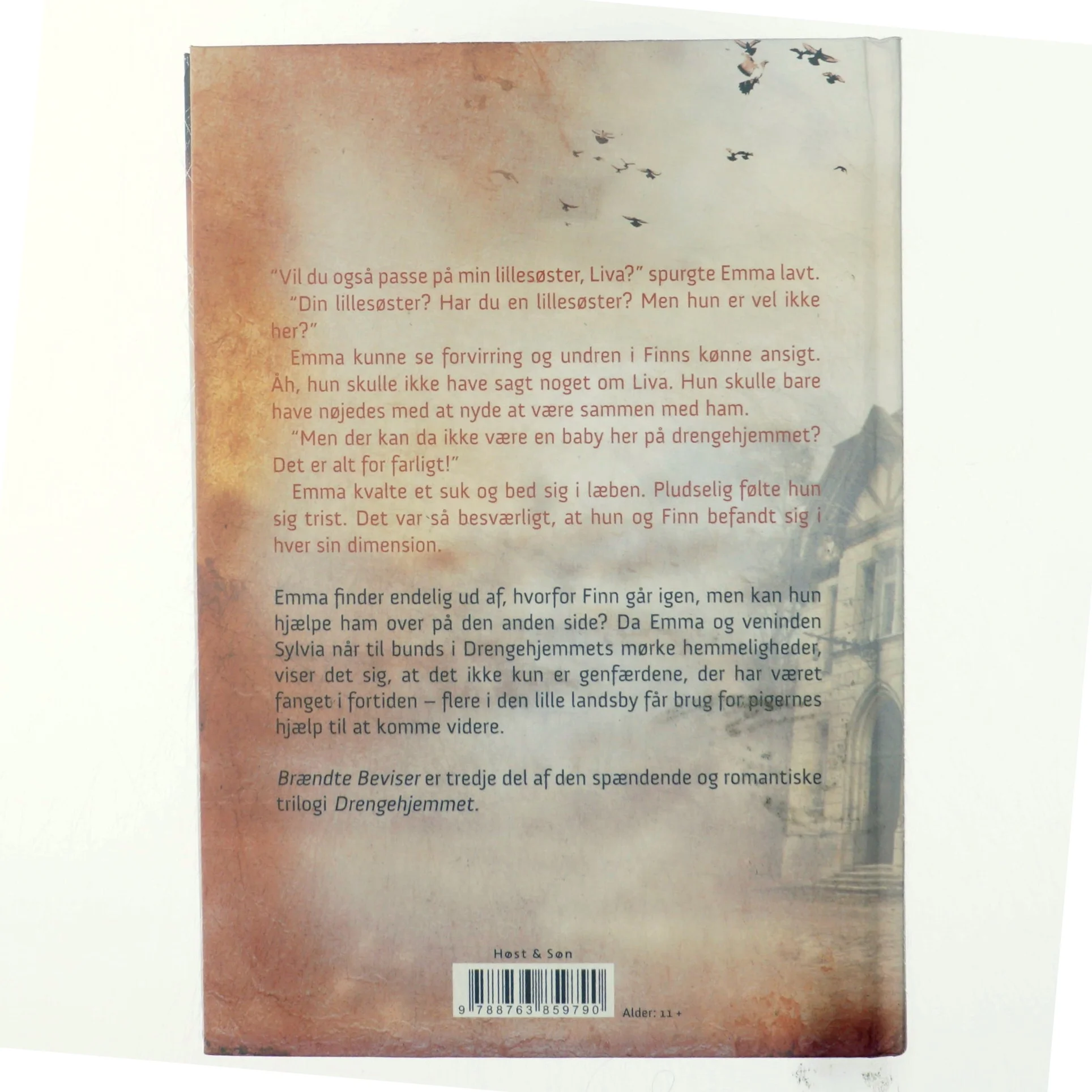 Brændte beviser af Dorte Roholte (Bog)