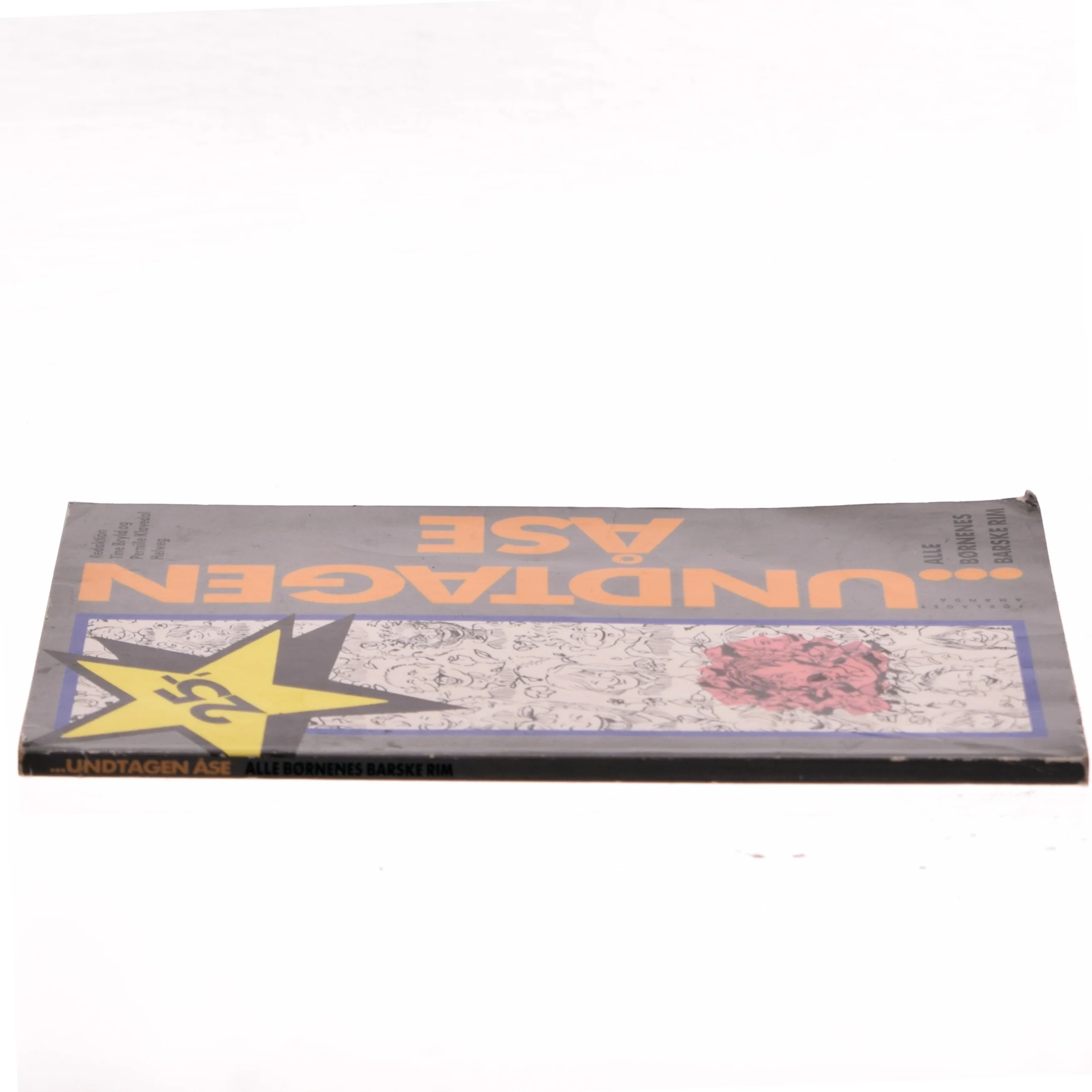 Undtagen Åse af Tine Bryld (Bog)