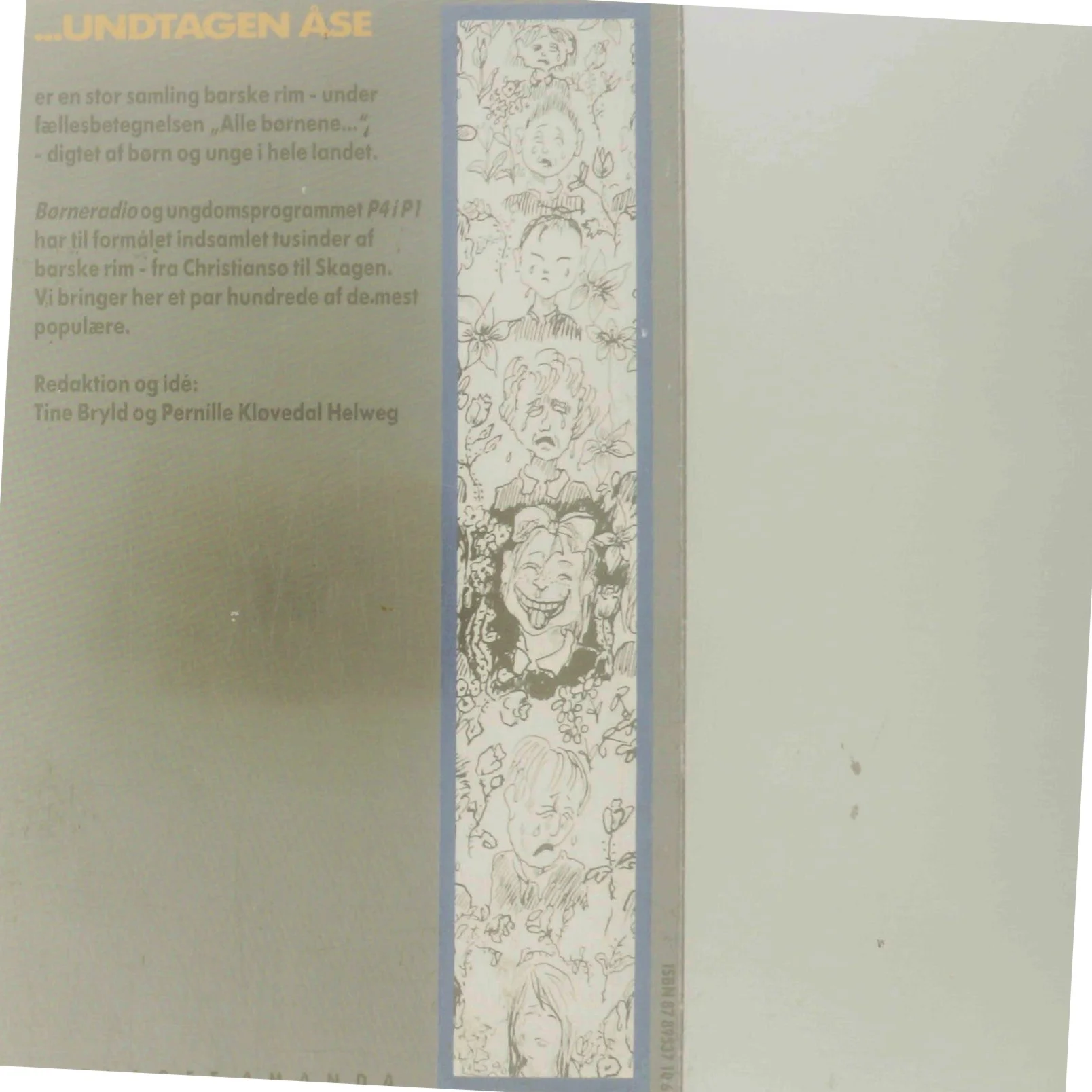 Undtagen Åse af Tine Bryld (Bog)