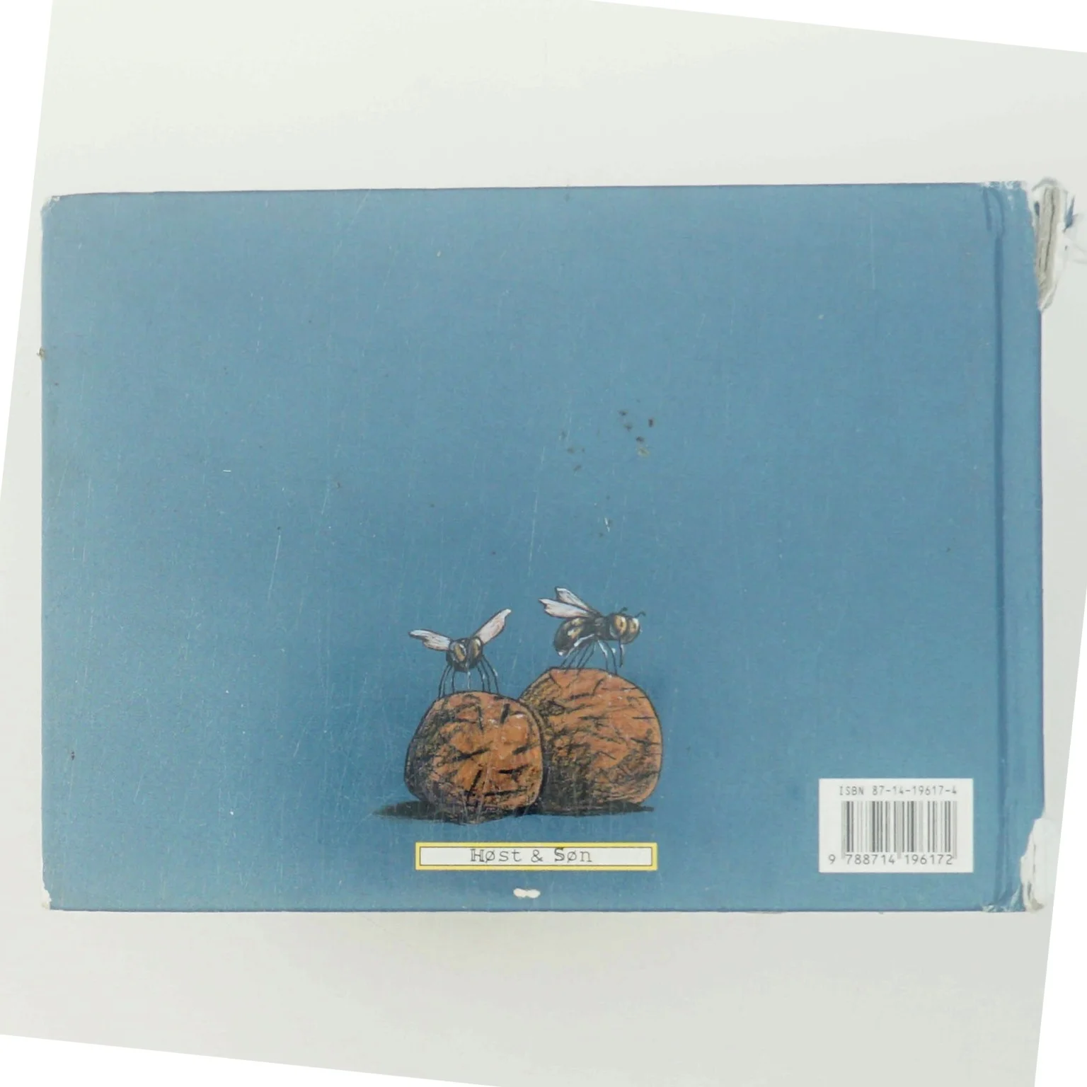 Mysteriet om smaradøjet (Bog)