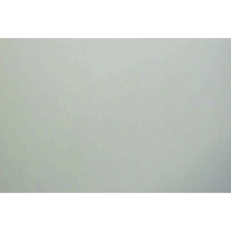 Fedt mule og den fantastiske fisk af Walt Disney (Bog)