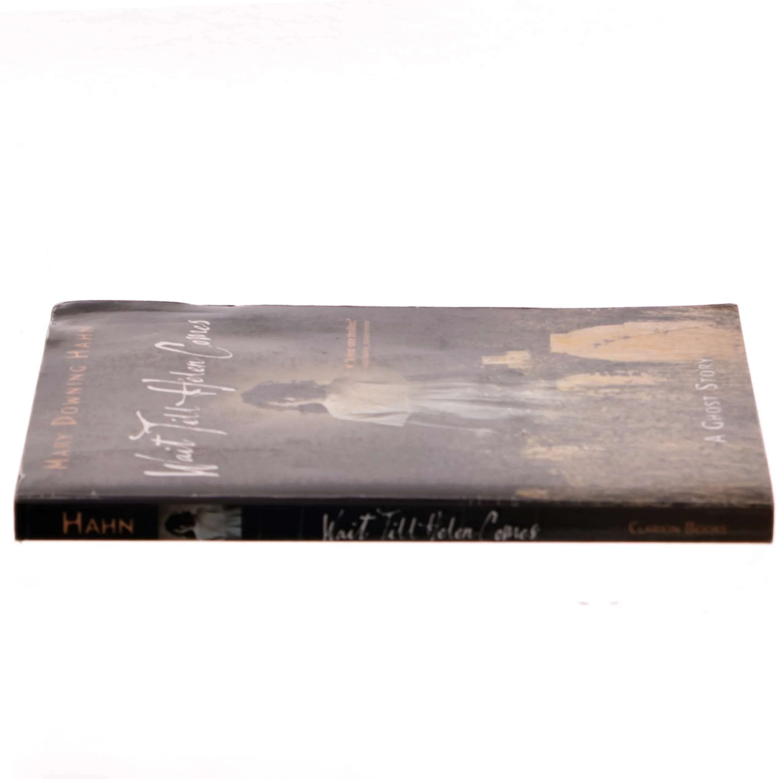 Wait Till Helen Comes af Mary Downing Hahn (Bog)