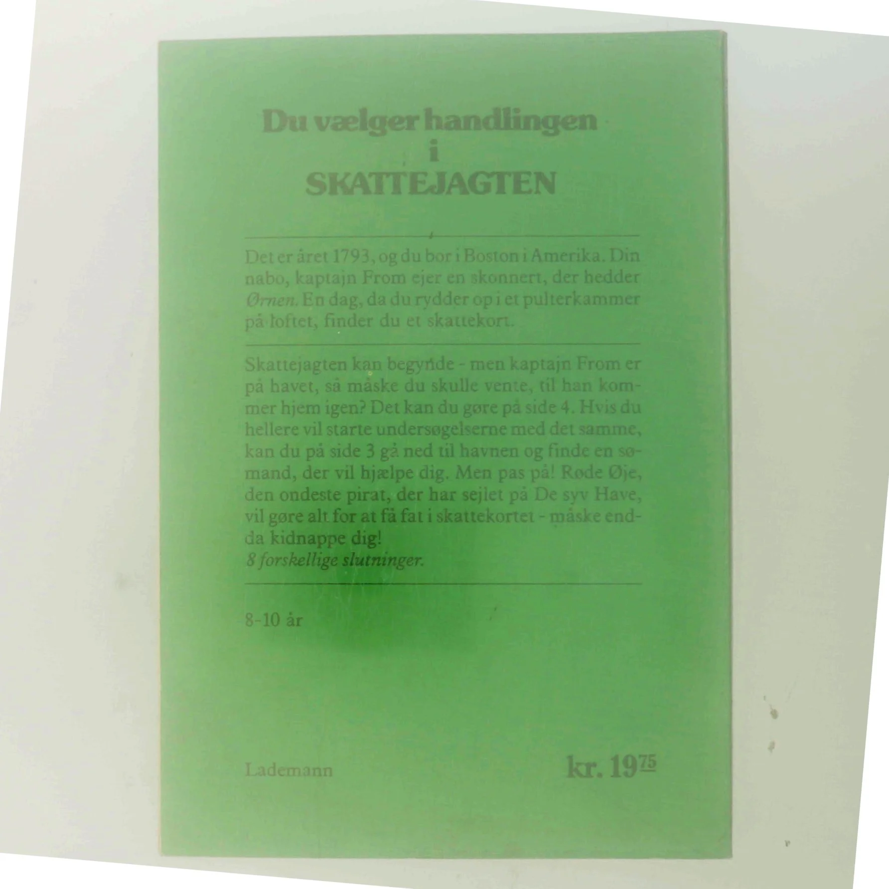 Skattejagten (Bog)