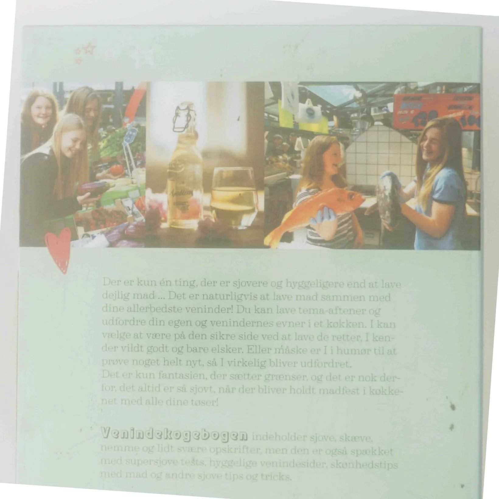 Venindekogebogen : en kærlighedserklæring til dine veninder og deres madlavning af Patrick Bachmann (Bog)