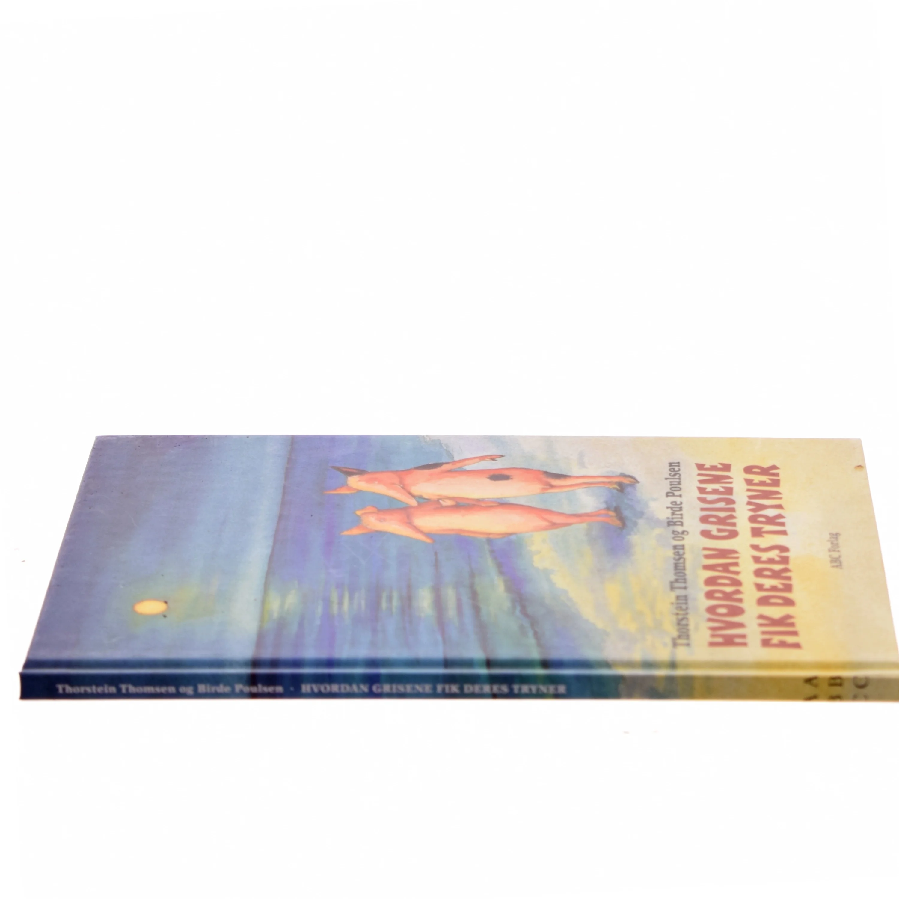 Hvordan grisene fik deres tryner af Thorstein Thomsen (Bog)