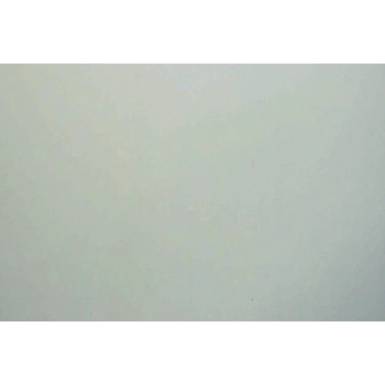 Musedetektiven i aktion af Walt Disney (Bog)