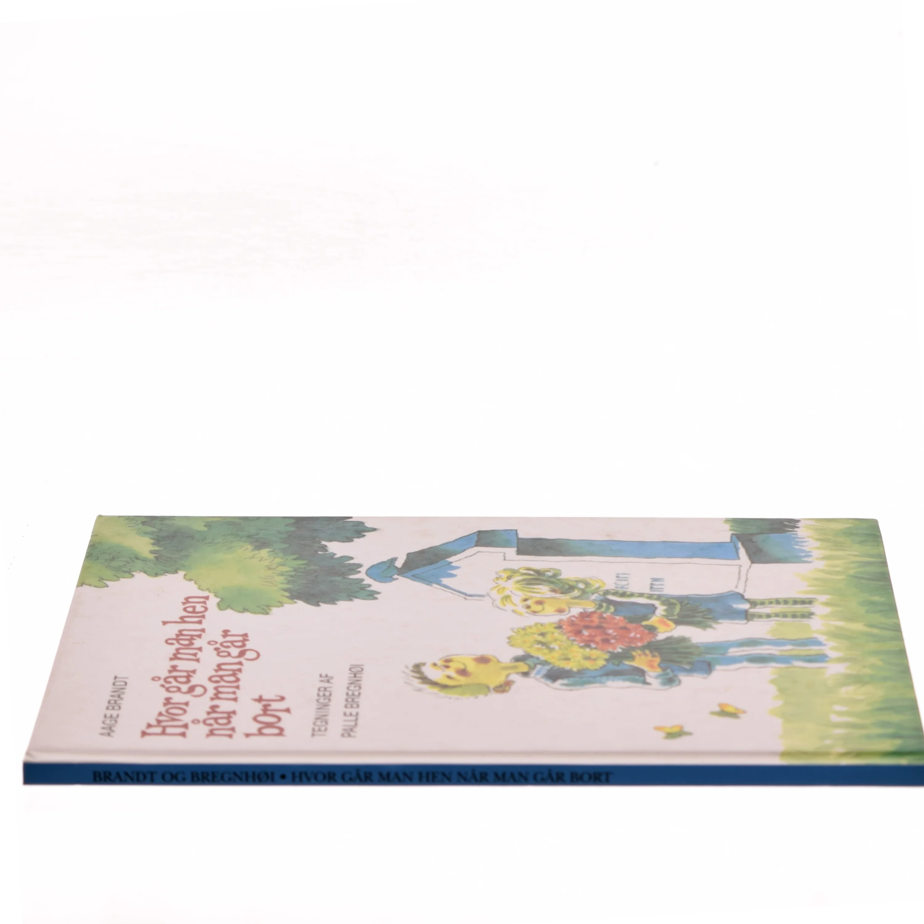 Hvor går man hen når man går bort af Aage Brandt (Bog)