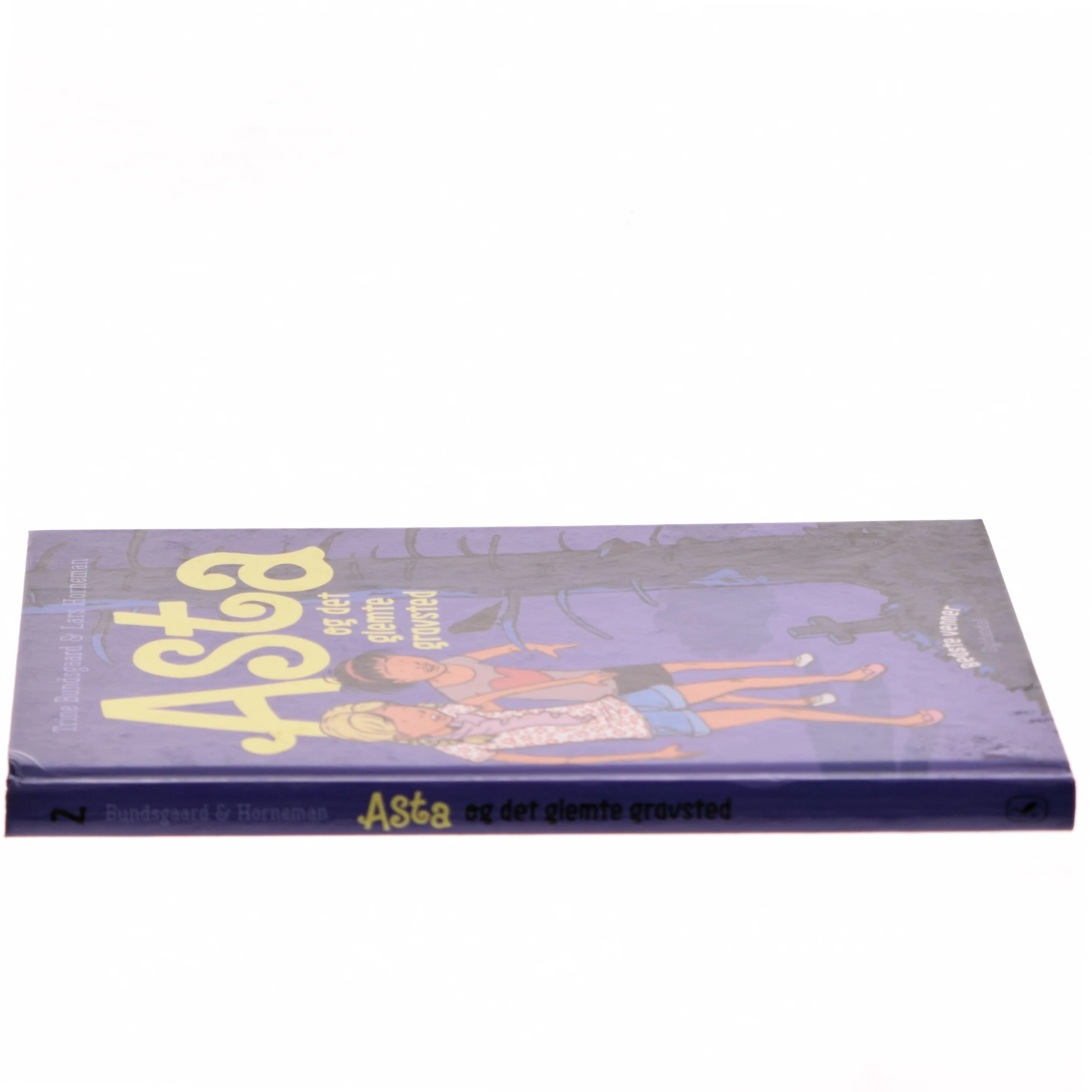 Asta og det glemte gravsted af Trine Bundsgaard (Bog)