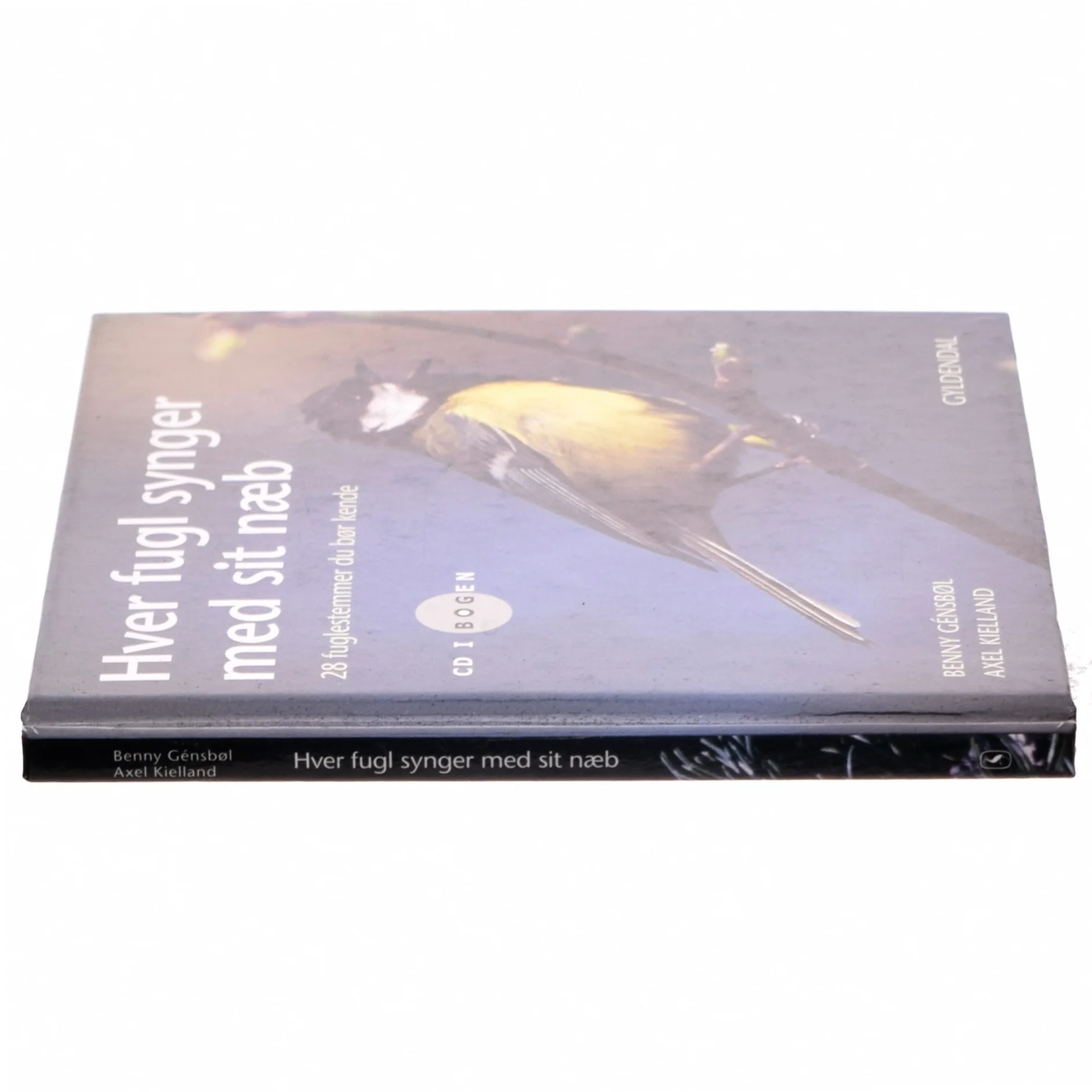 Hver fugl synger med sit næb : 28 fuglestemmer, du bør kende (Bog)