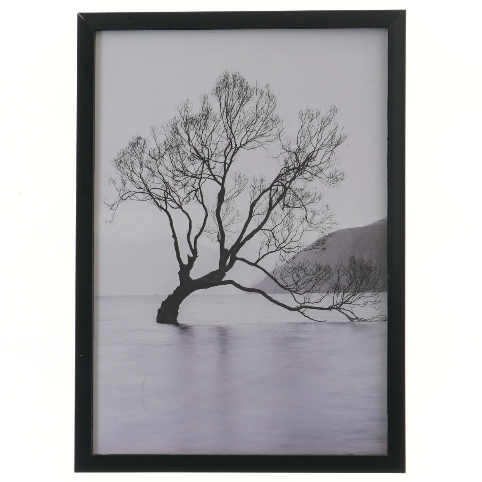 Billede med sort ramme (str. 32x23 cm)