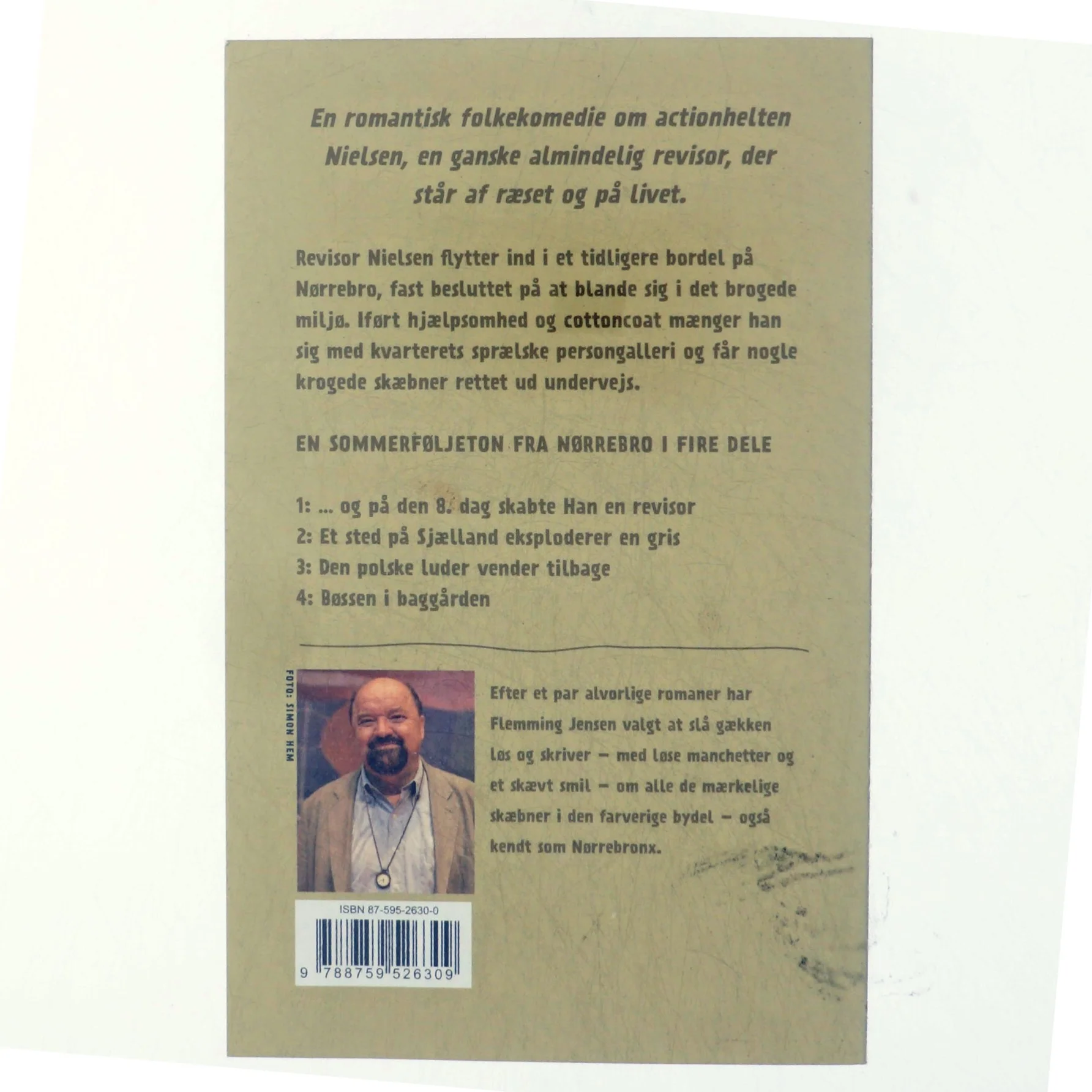 Den polske luder vender tilbage : tredje bog om Nielsen af Flemming Jensen (f. 1948-10-18) (Bog)