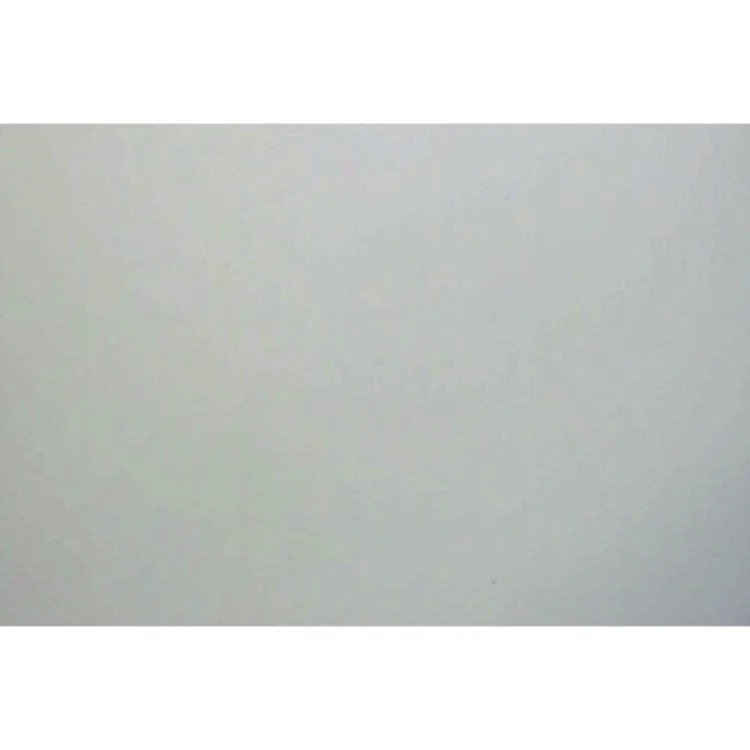 Molly går til hvalpetræning af Isabelle Halvarsson (Bog)