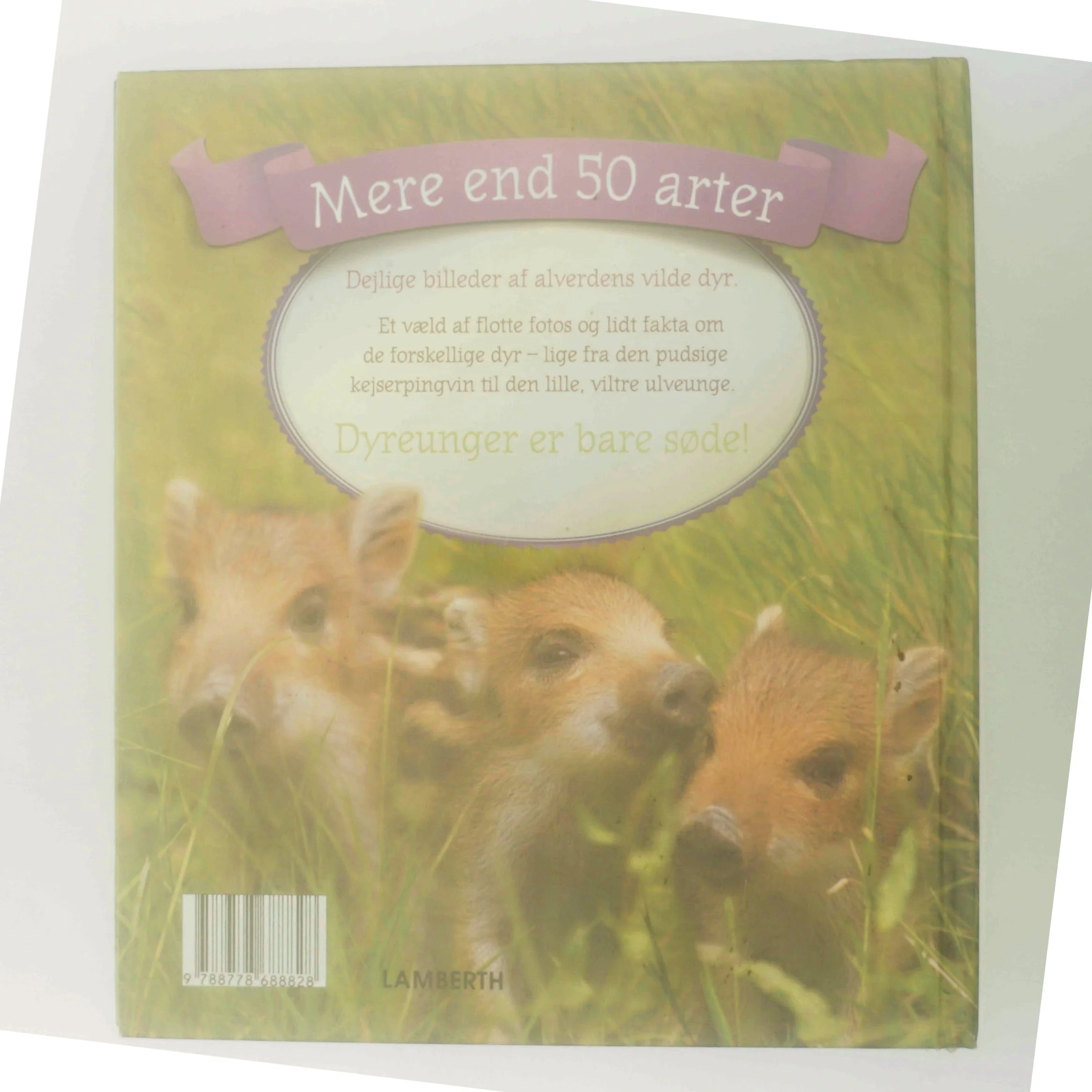 Dejlige dyreunger af Christian Lamberth (Bog)