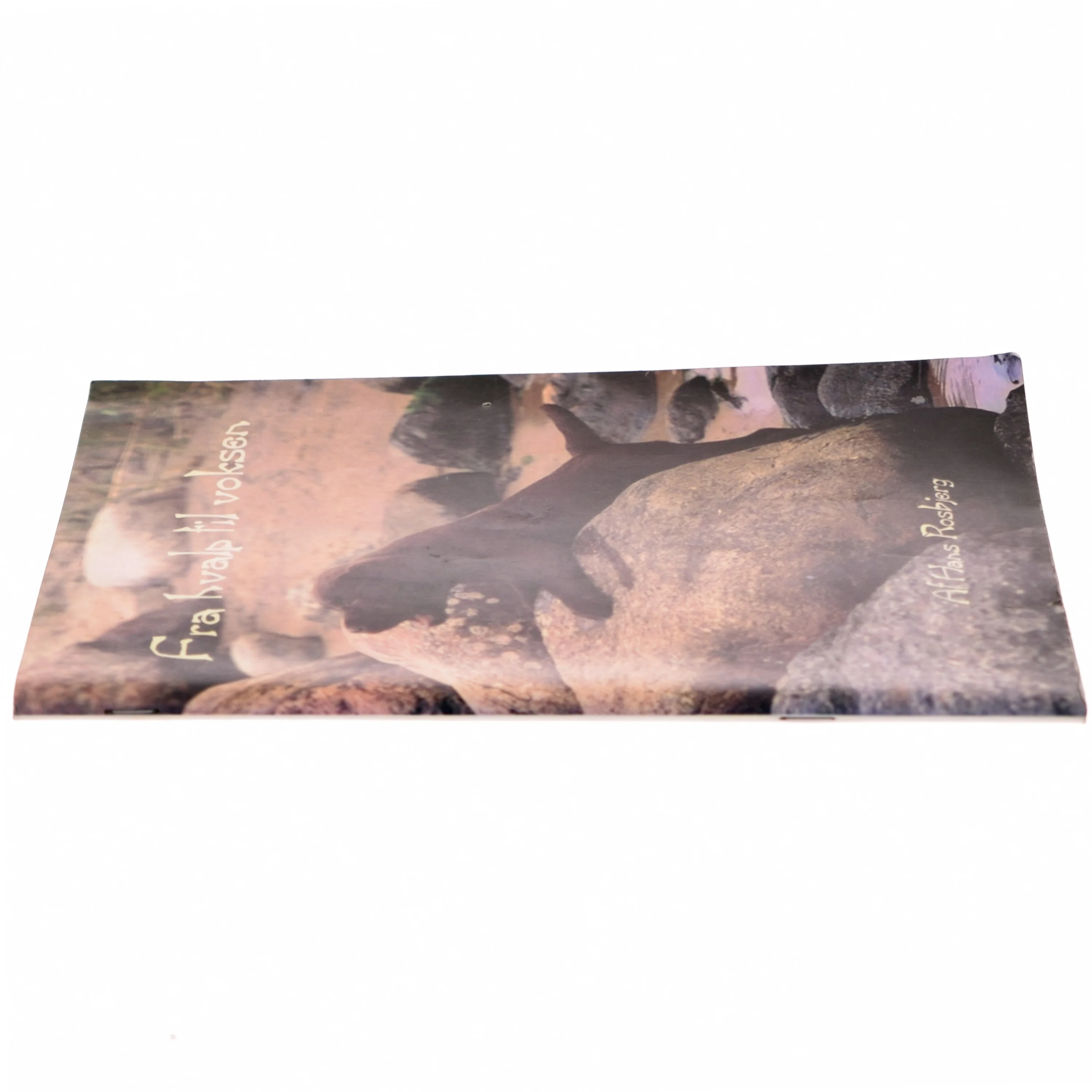 Fra hvalp til voksen af Hans Rosbjerg