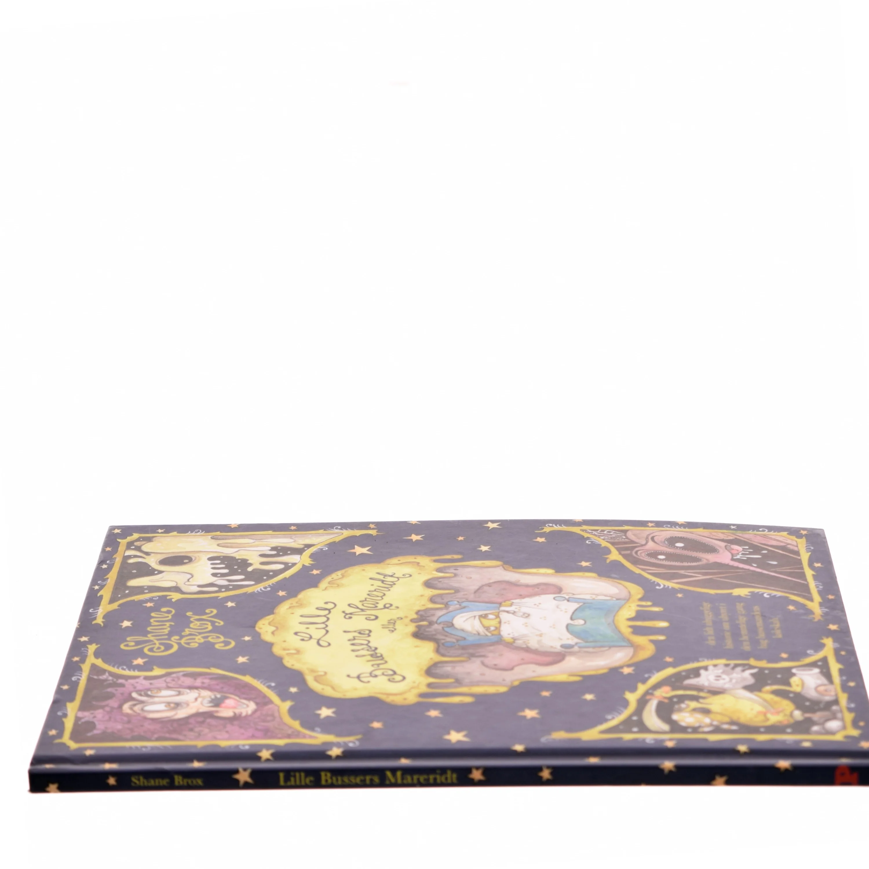 Lille Bussers mararidt af Shane Brox (Bog)