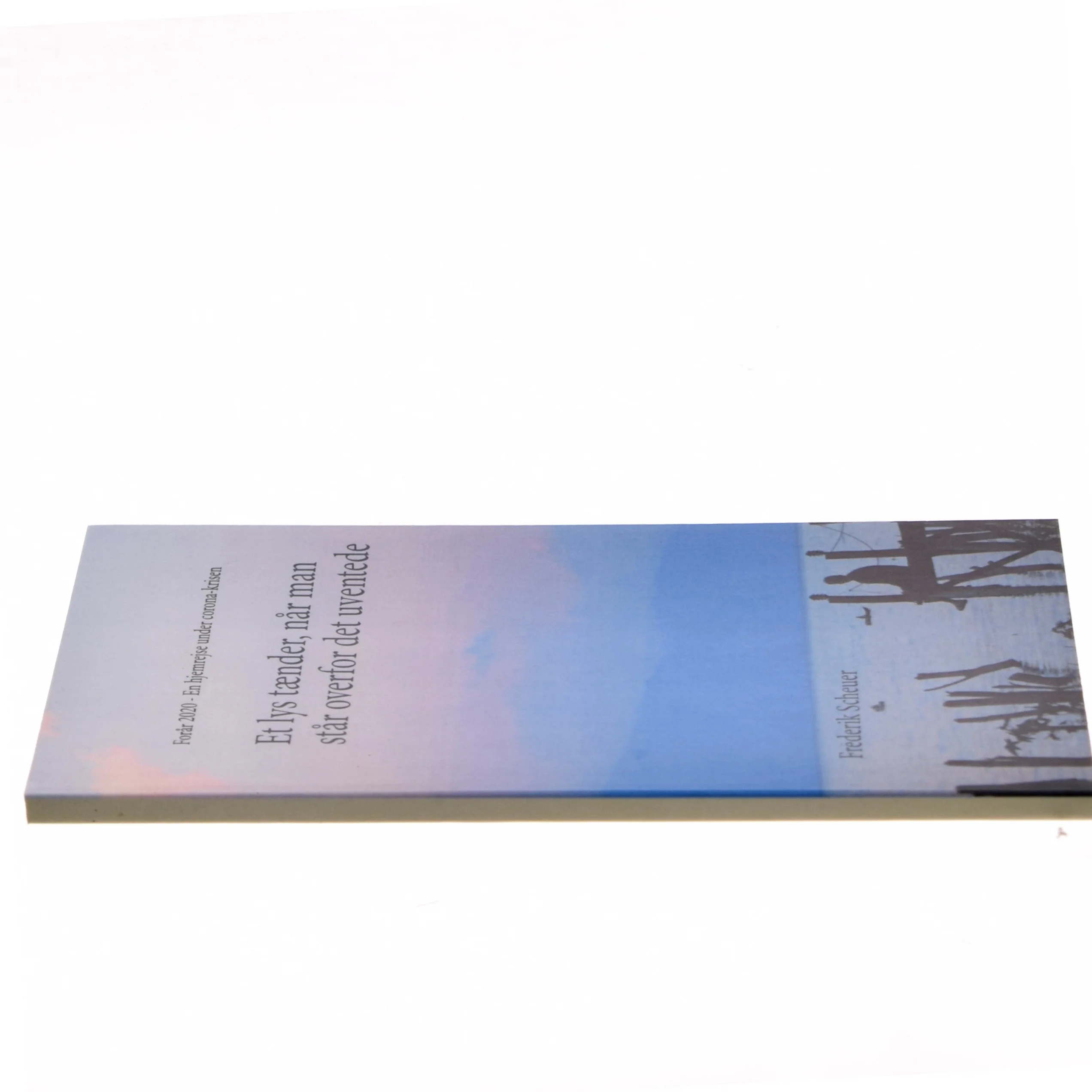 Et lys tænder, når man står overfor det uventede : forår 2020 - en hjemrejse fra Mellemamerika til Danmark under corona-krisen af Frederik Scheuer (Bog)