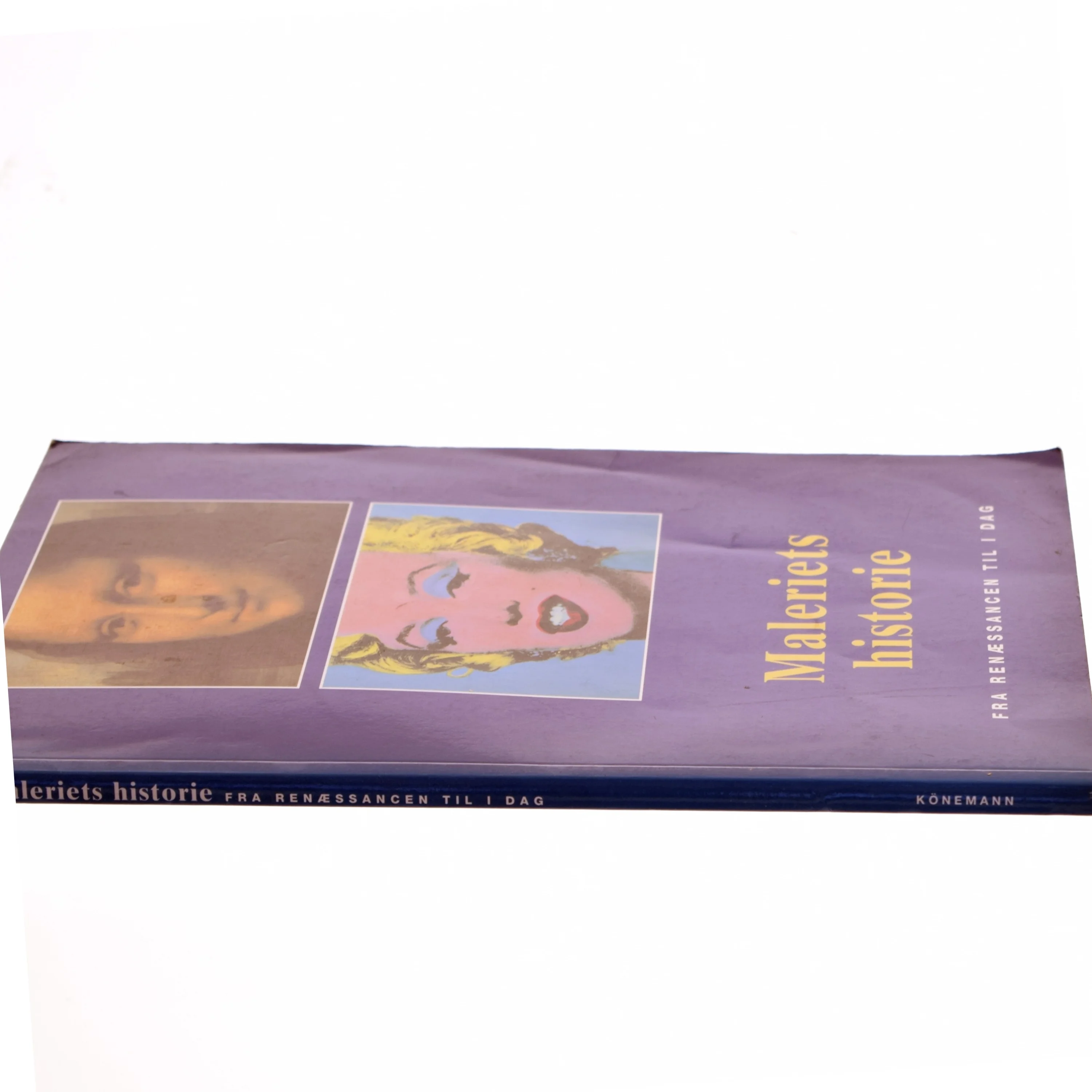 Maleriets historie : fra renæssancen til i dag af Anna-Carola Krausse (Bog)