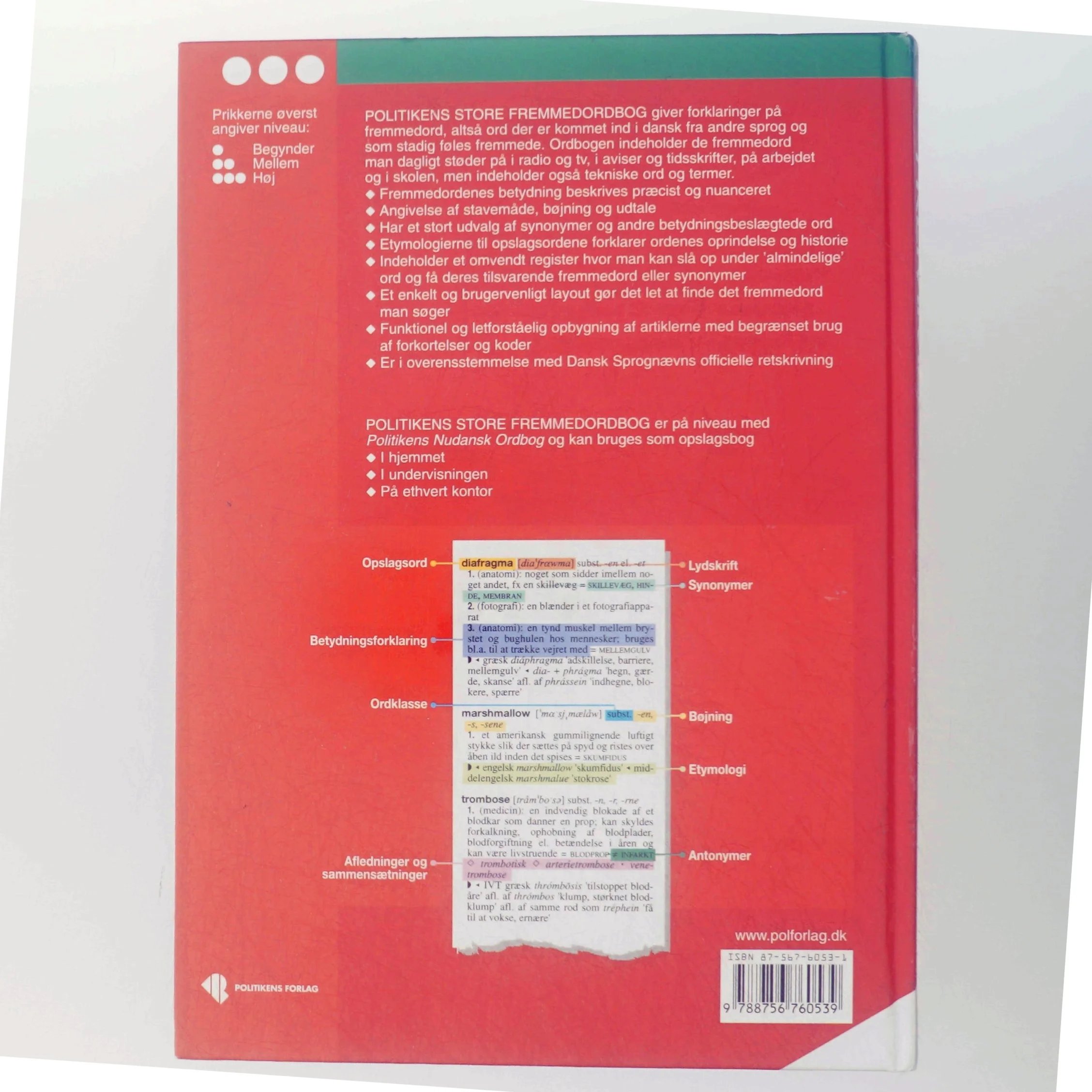 Politikens store fremmedordbog af Pernille Neergaard-Dibbern (Bog)