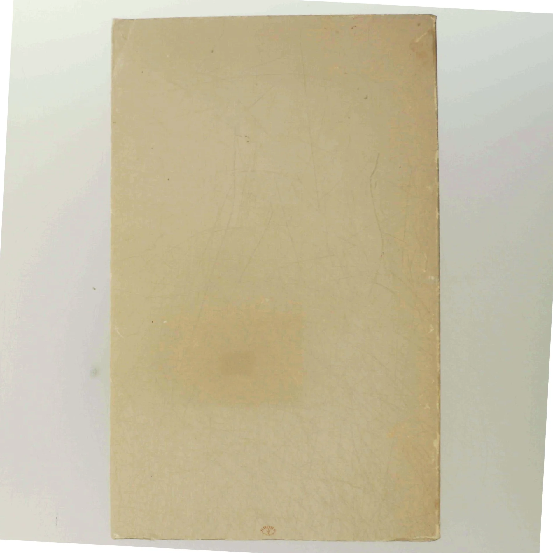 Bog af Jens August Schade 'Digter i Danmark' fra Lindhardt og Ringhof