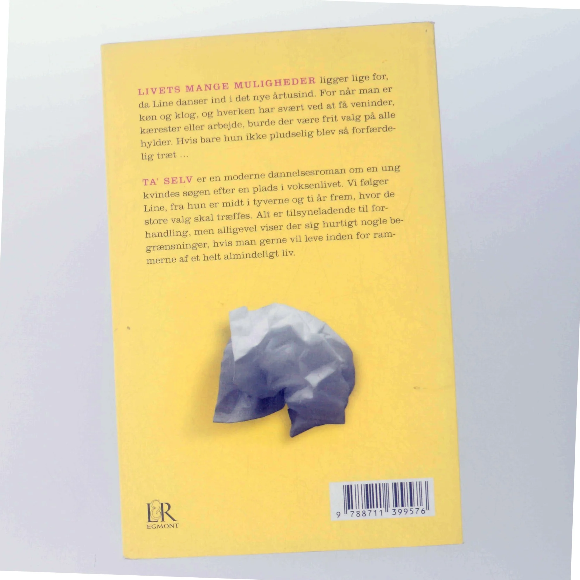 Ta' selv : en dannelsesroman af Kristiane Hauer (Bog)