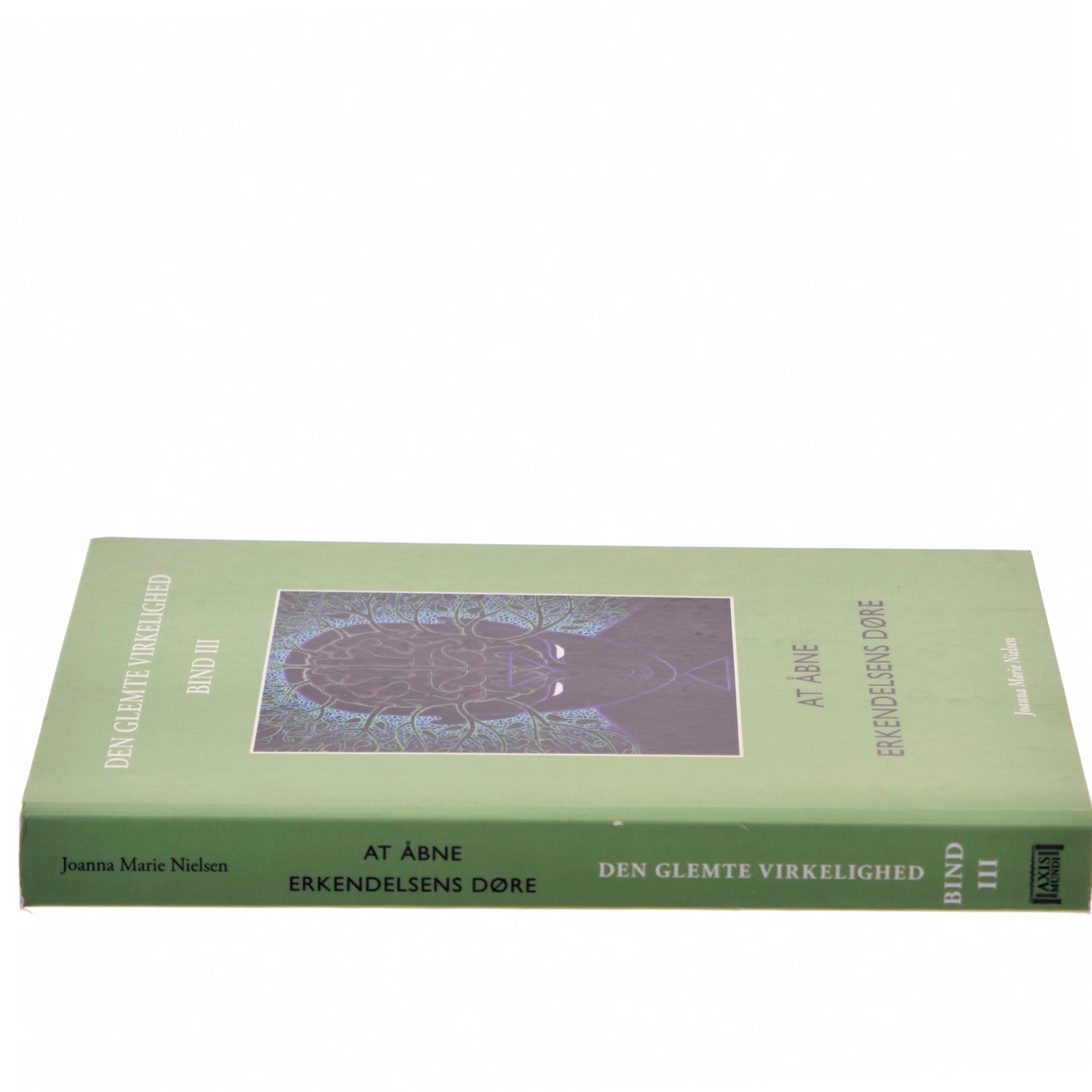 Den glemte virkelighed. Bind 3, At åbne erkendelsens døre af Joanna Marie Nielsen (f. 1977) (Bog)