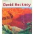 David Hockney bog