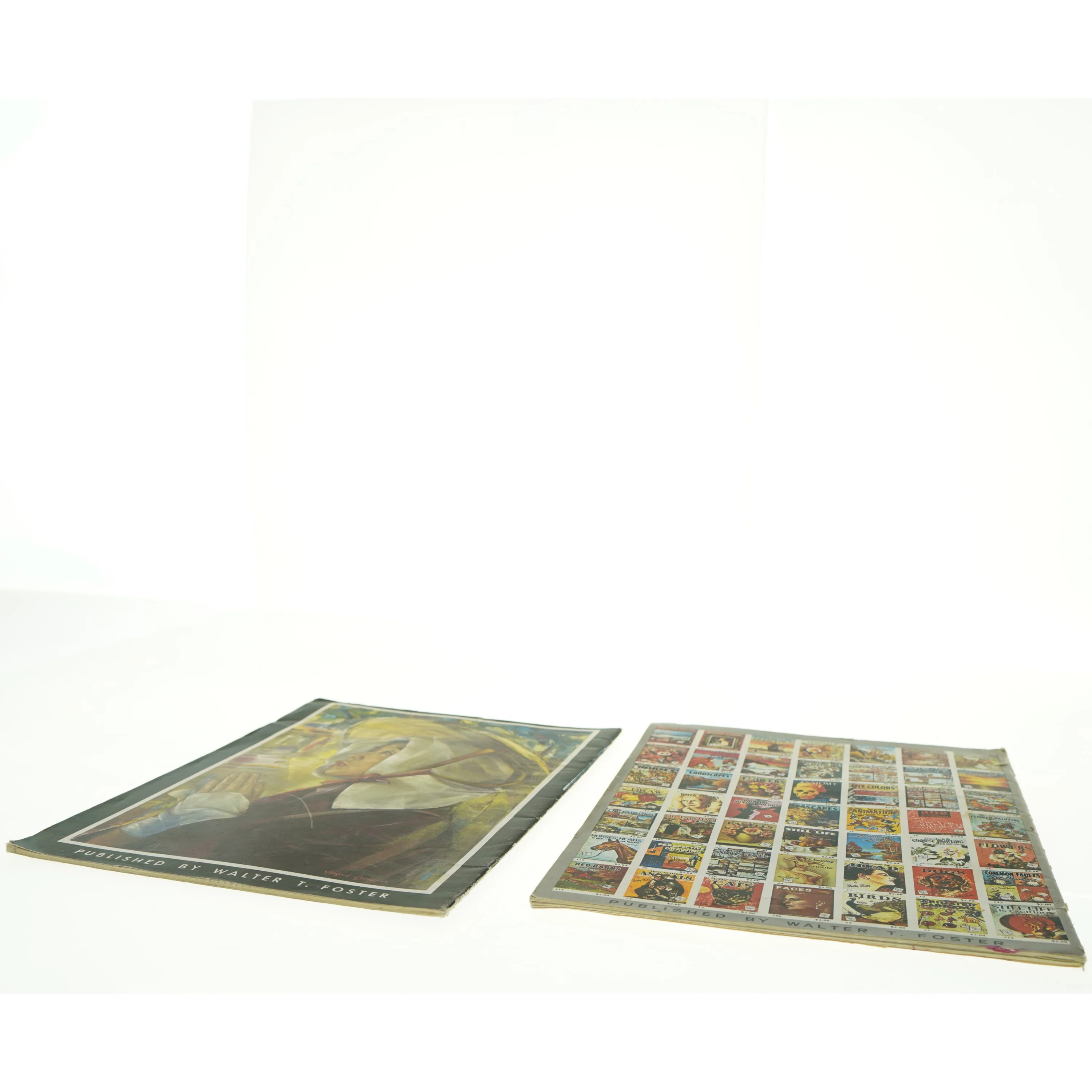 Vintage kunstbøger (str. 35 x 26 cm)