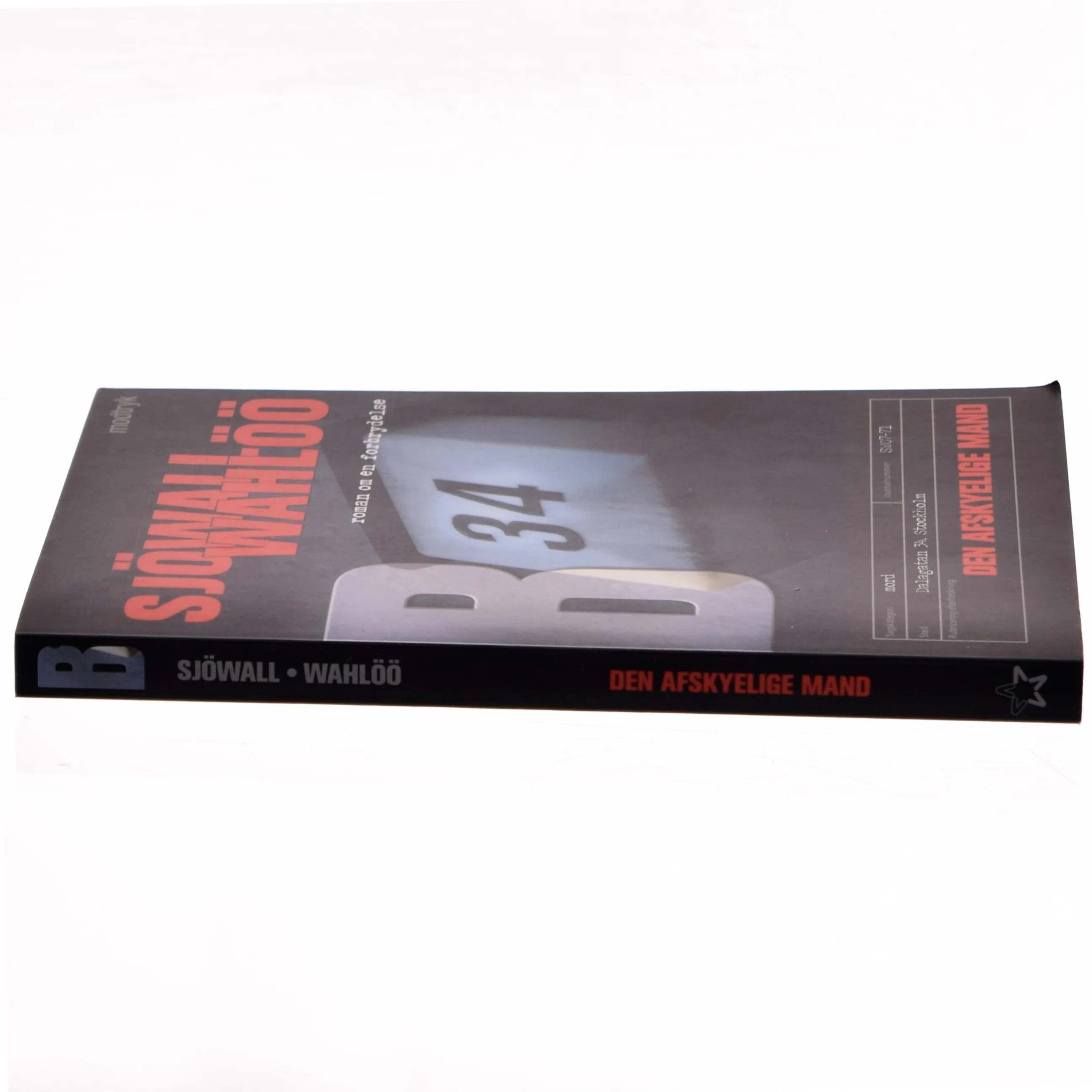 Den afskyelige mand (Bog)