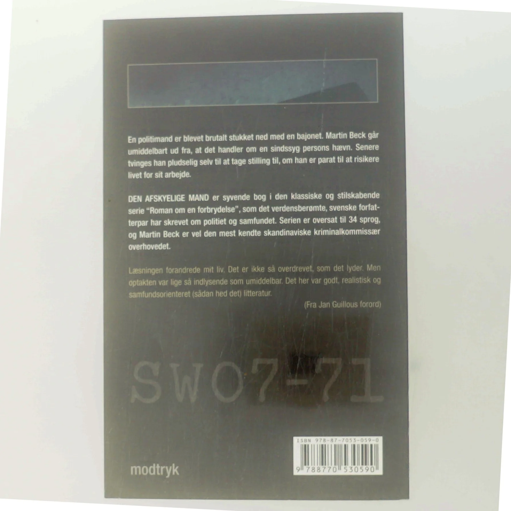 Den afskyelige mand (Bog)