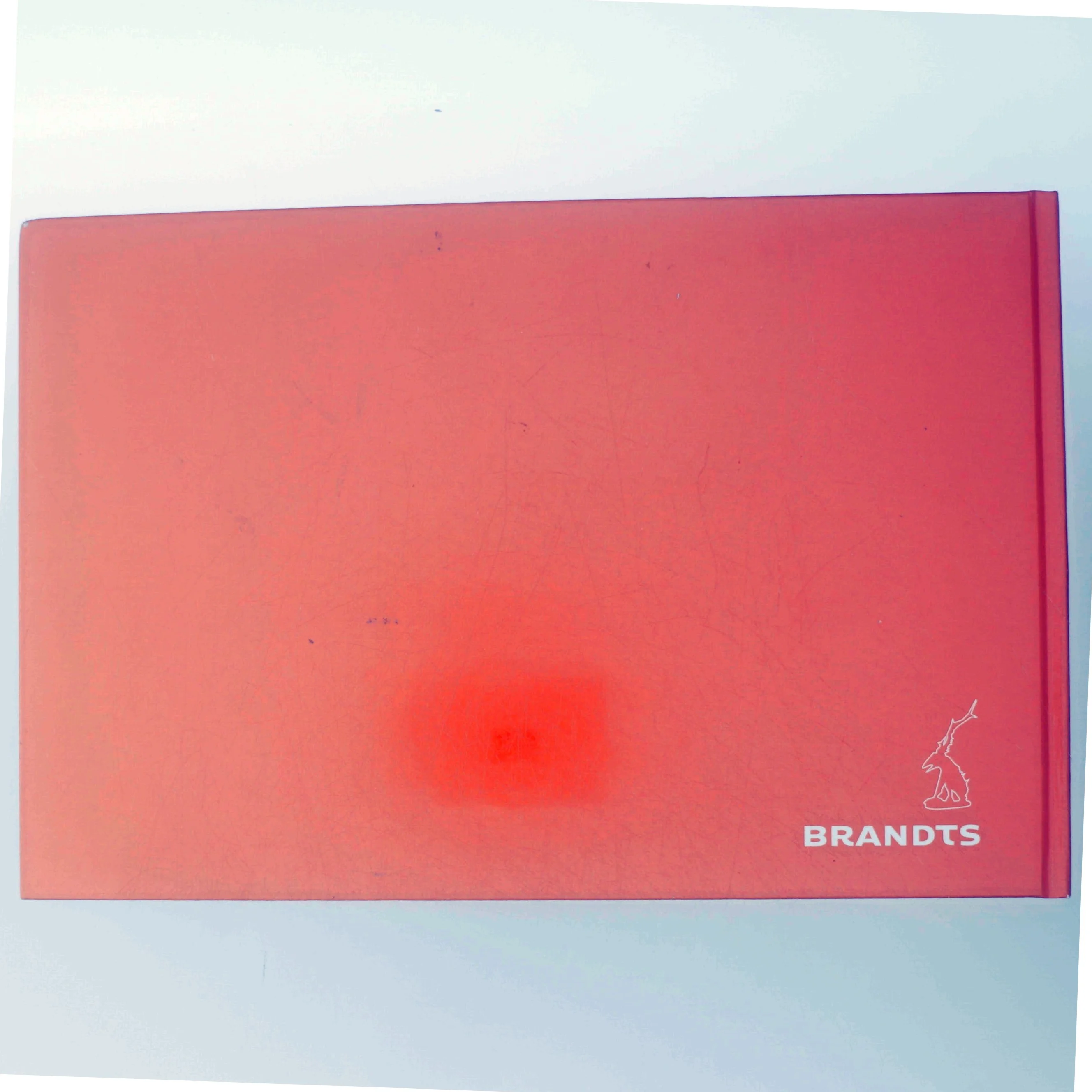 Kogebog 'Medier i 3 timer - det er der ingen ben i!'