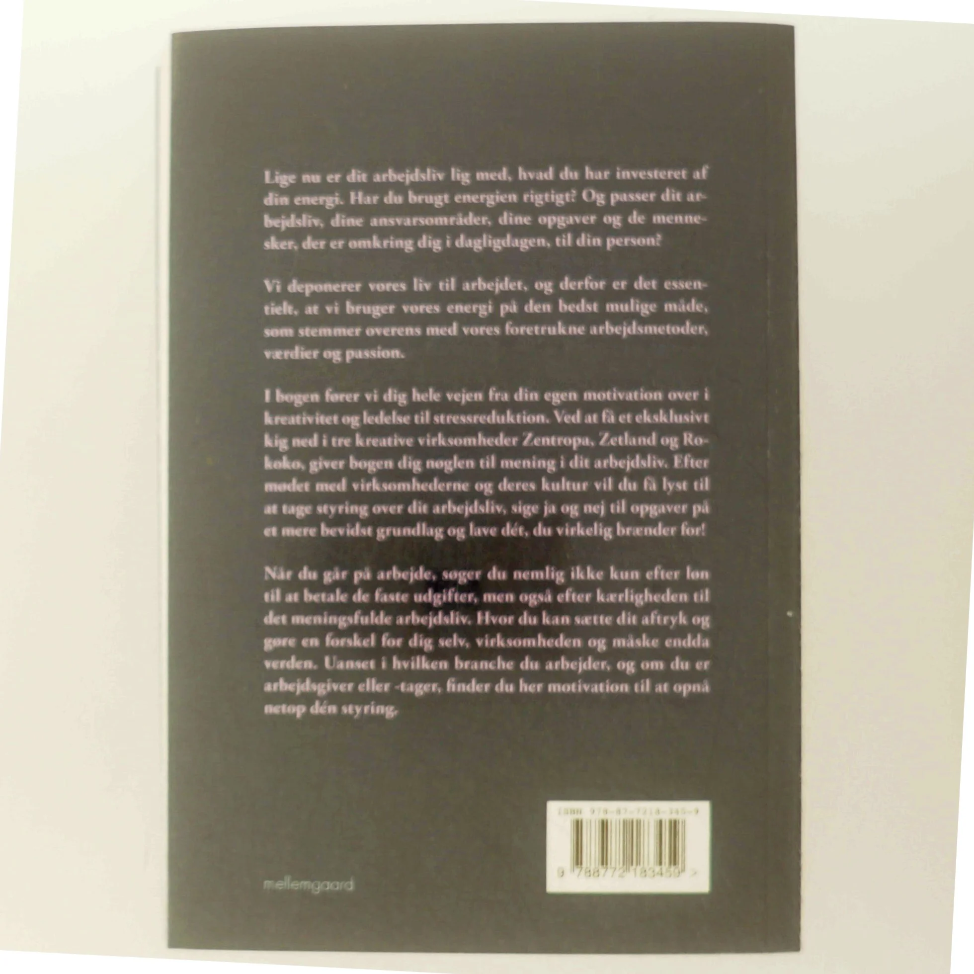 Det giver mening at elske sit arbejdsliv af Heidi Philipsen (f. 1971-03-18) (Bog)