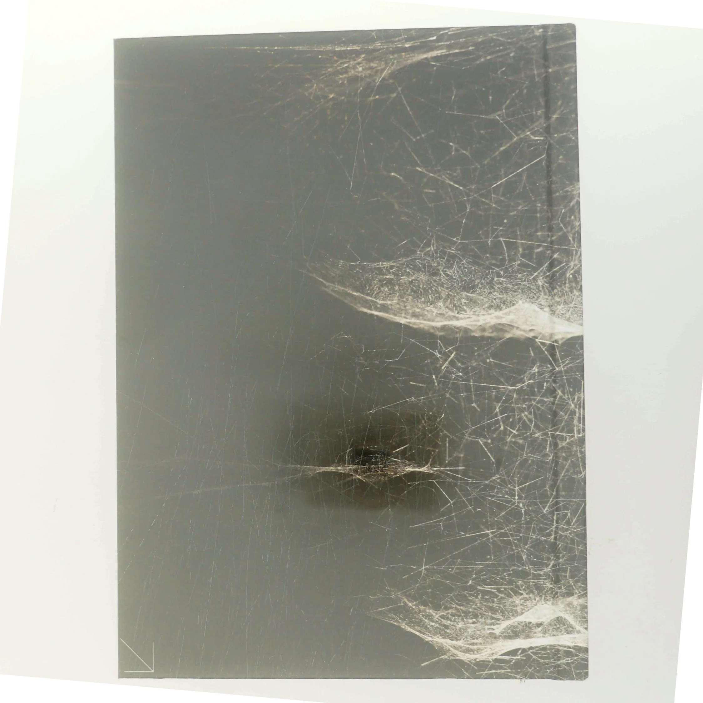 Event Horizon af Tomas Saraceno (Bog)