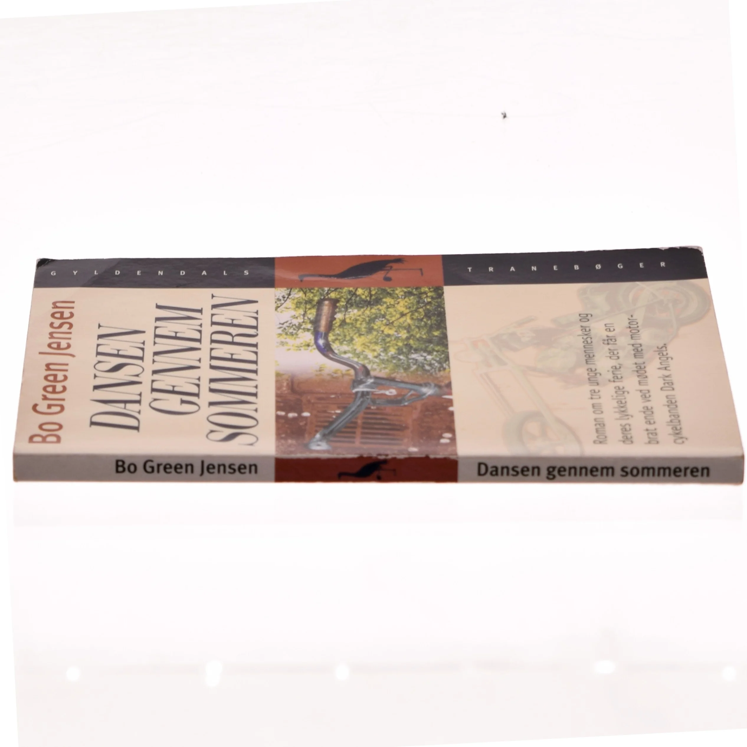 Dansen gennem sommeren af Bo Green Jensen (Bog)