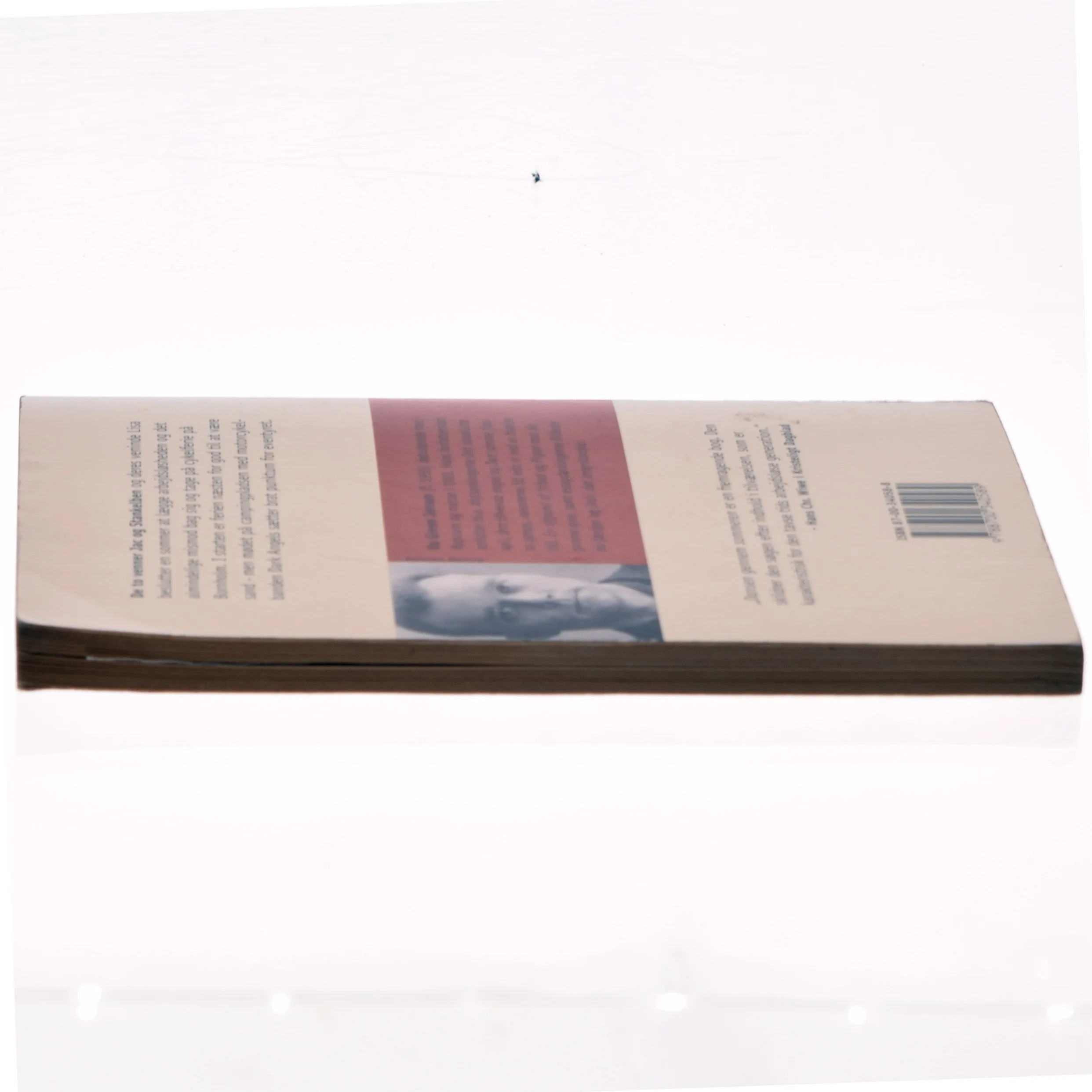 Dansen gennem sommeren af Bo Green Jensen (Bog)