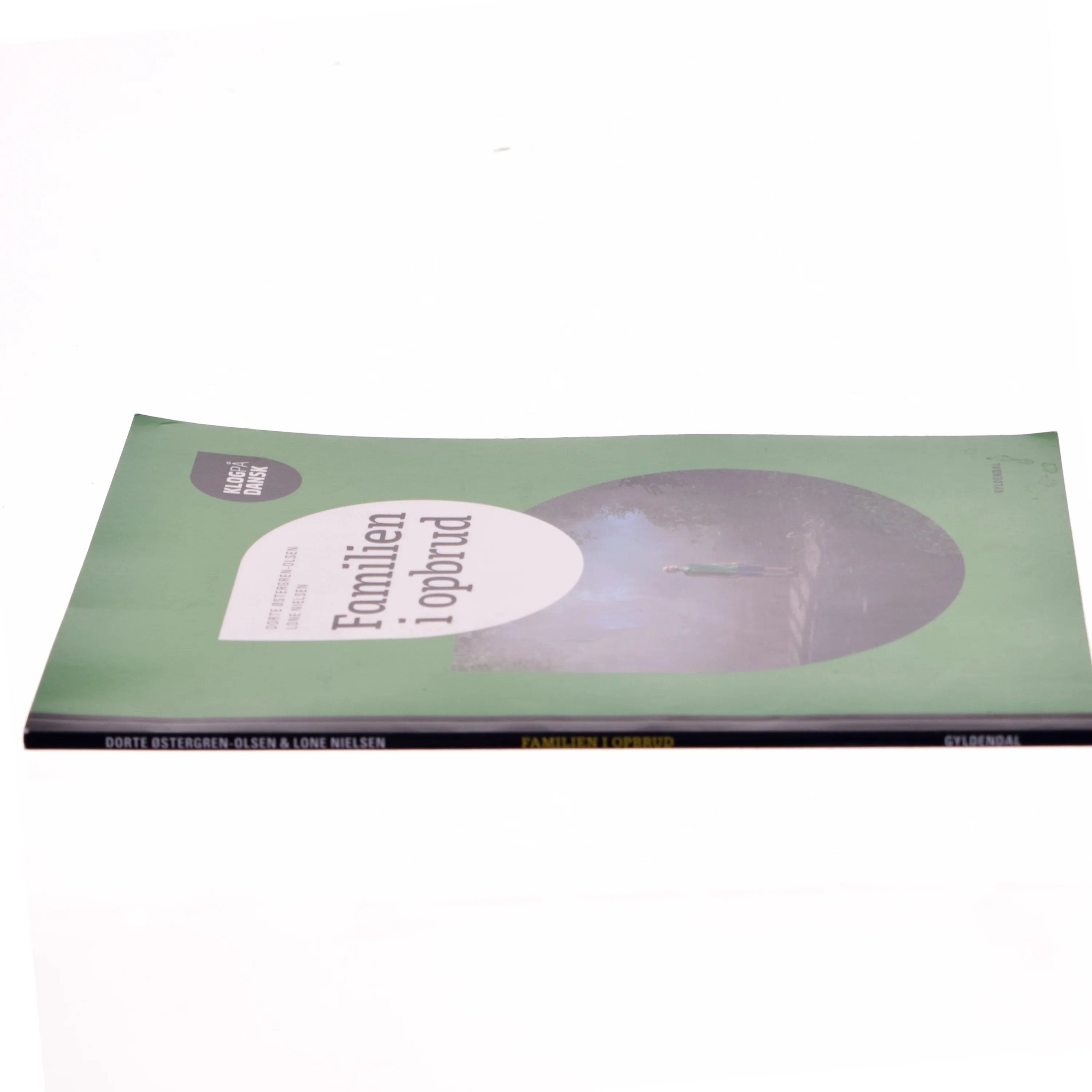 Klog på dansk, Familien i opbrud af Dorte Østergren-Olsen (Bog)